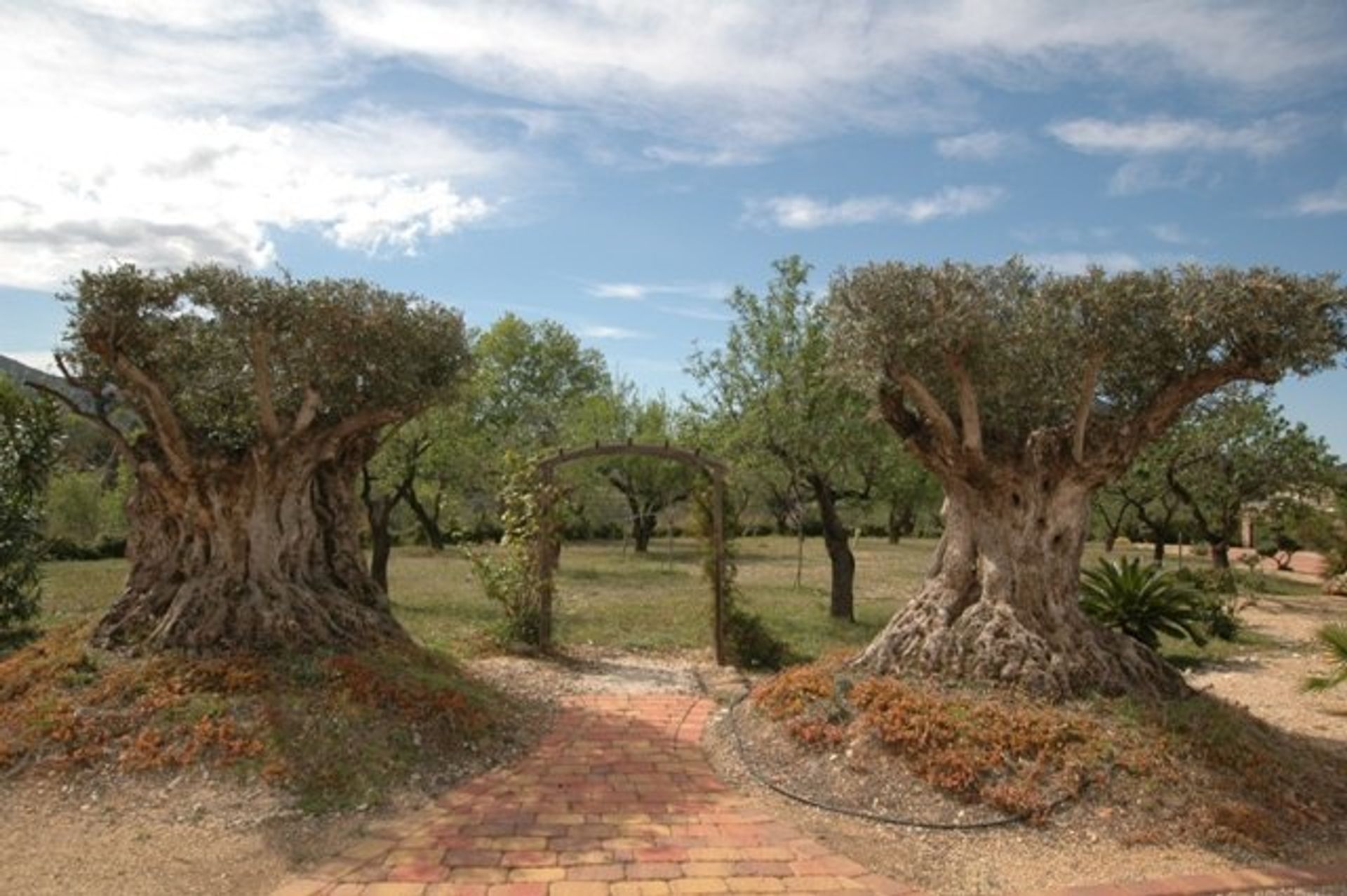 House in Murla, Valencia 11170090