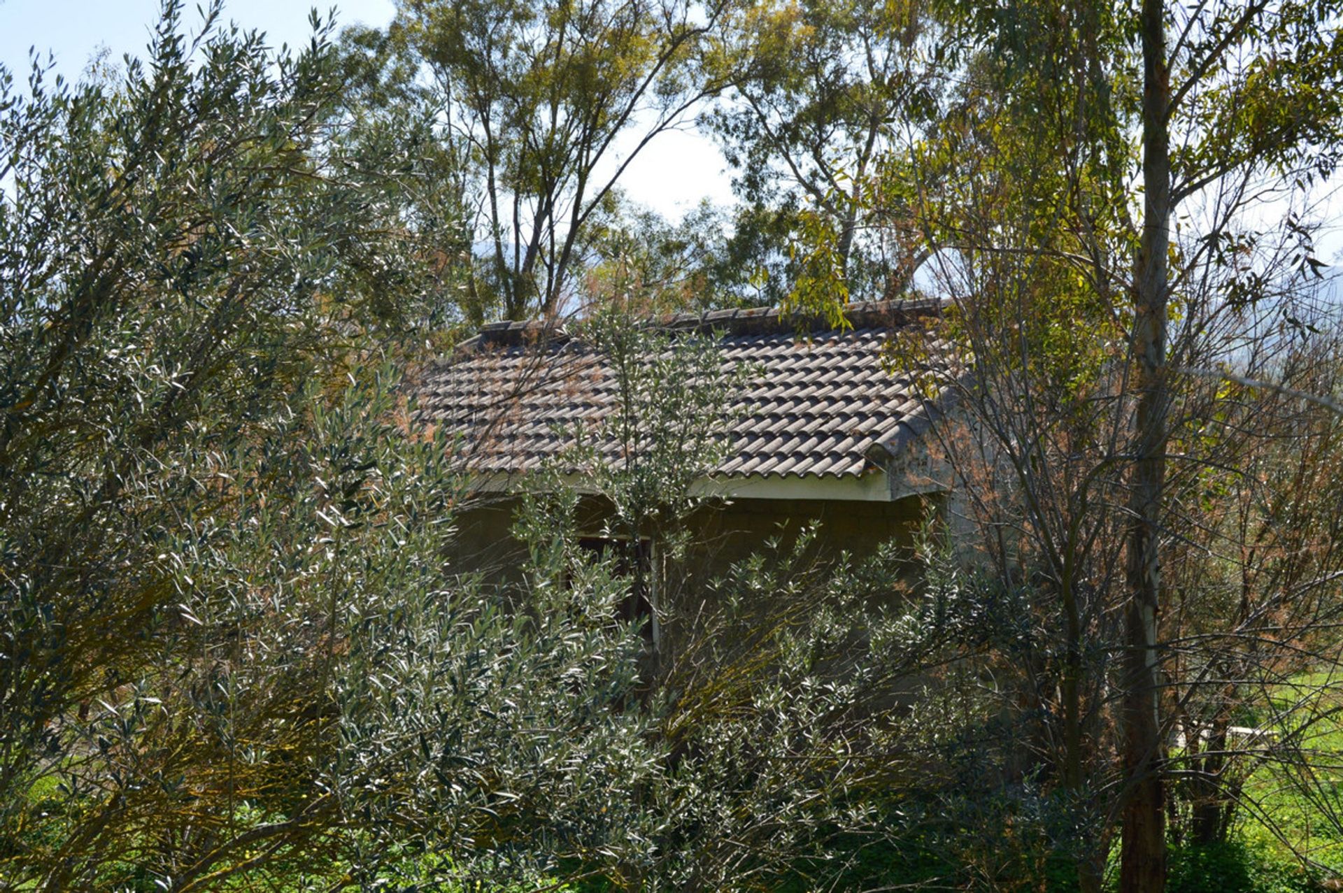 Land im Estación de Cártama, Andalucía 11170235