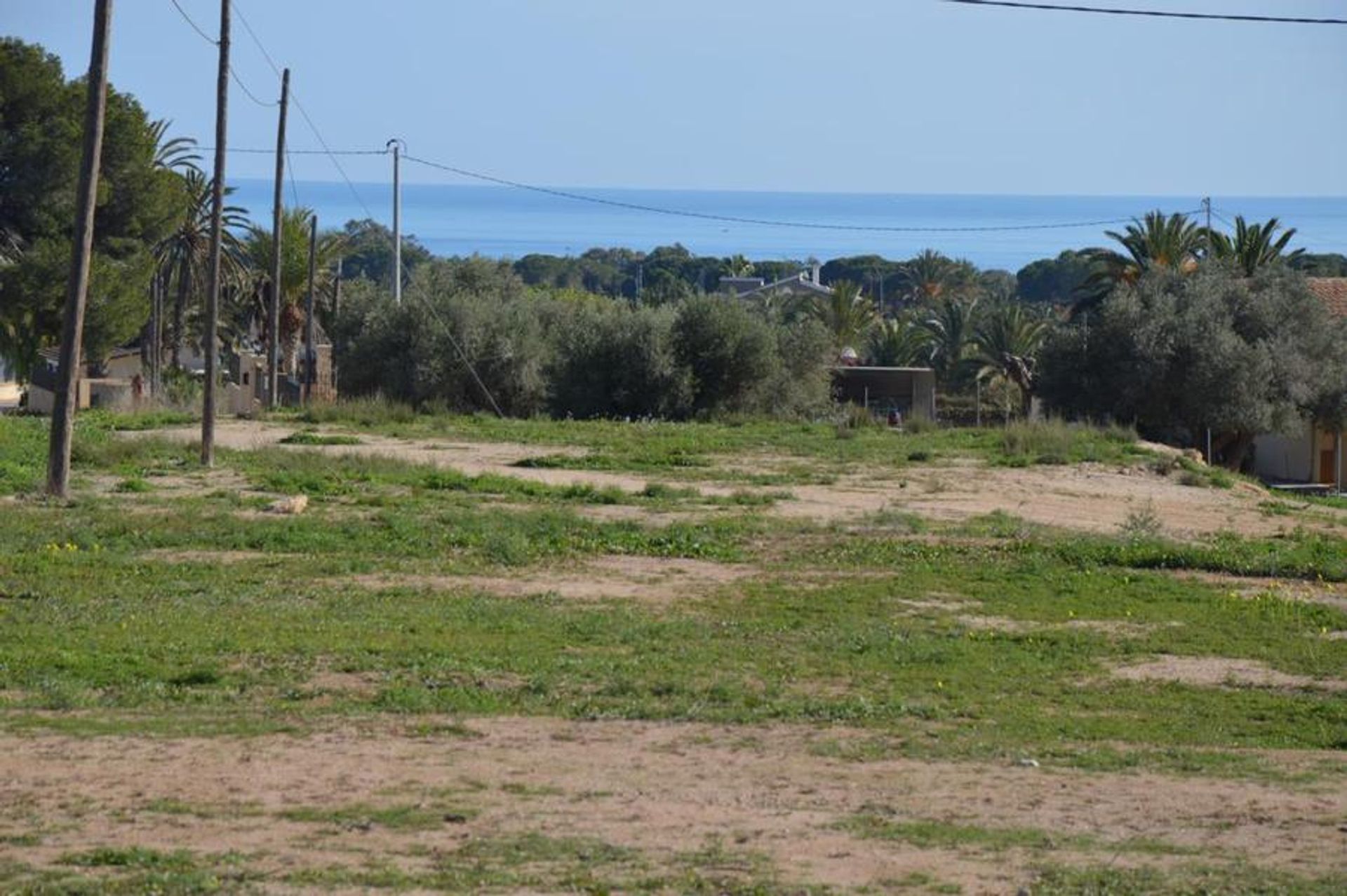 Tierra en La Marina, Valencia 11170616