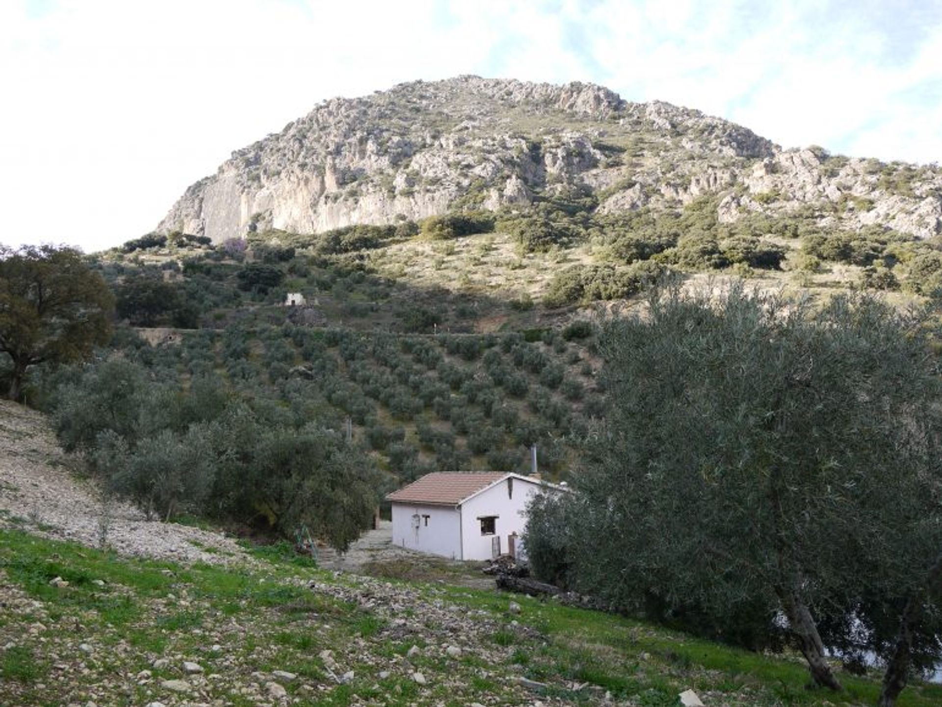 Casa nel Algámitas, Andalucía 11170827