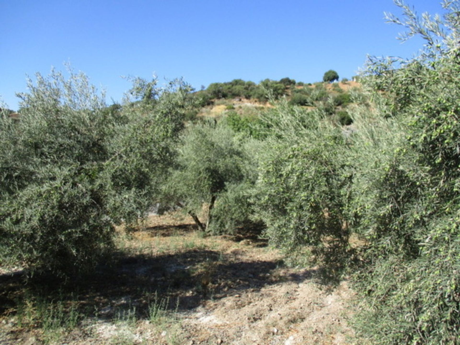 σπίτι σε Álora, Andalucía 11171425