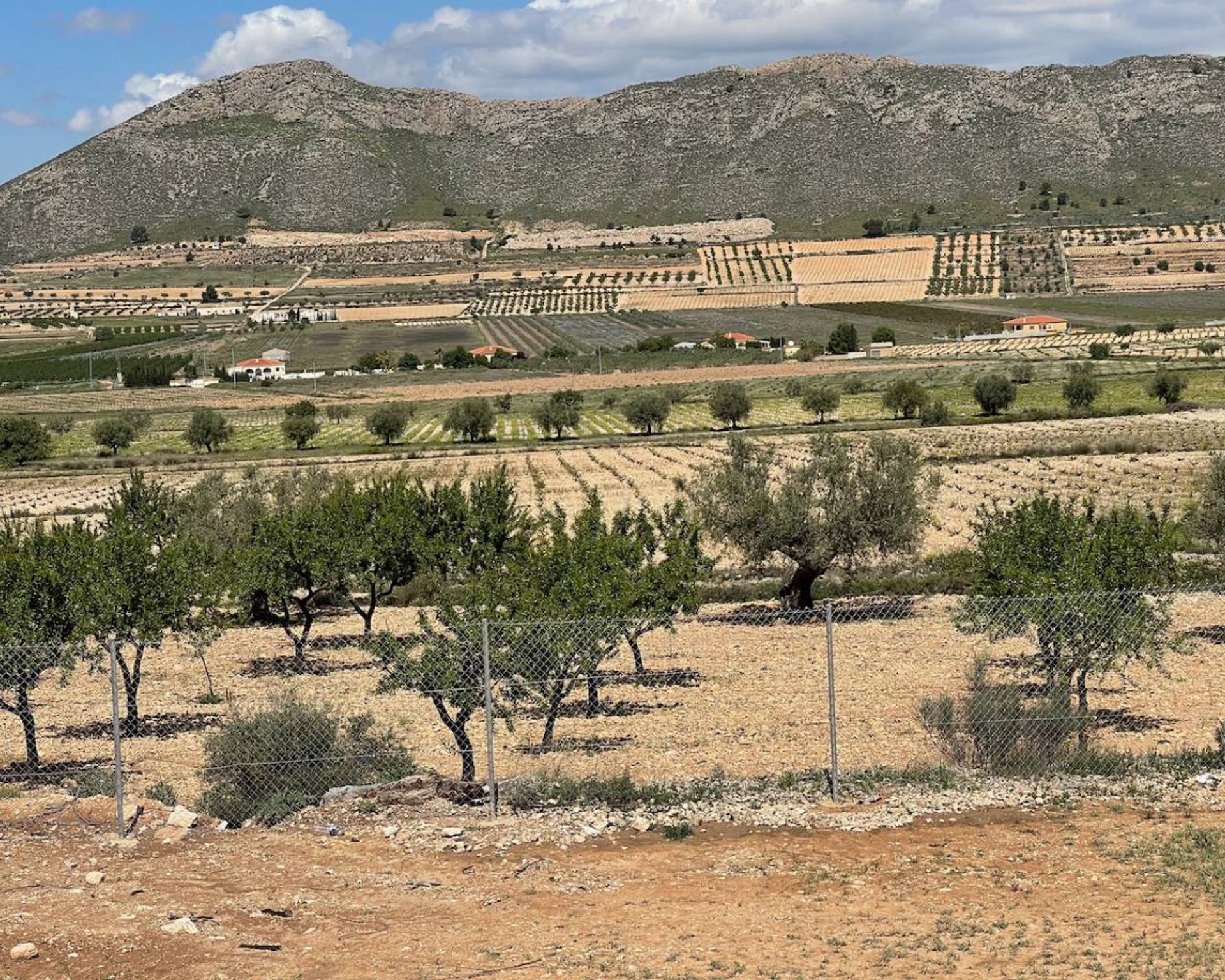 Casa nel Pinoso, Comunidad Valenciana 11171509