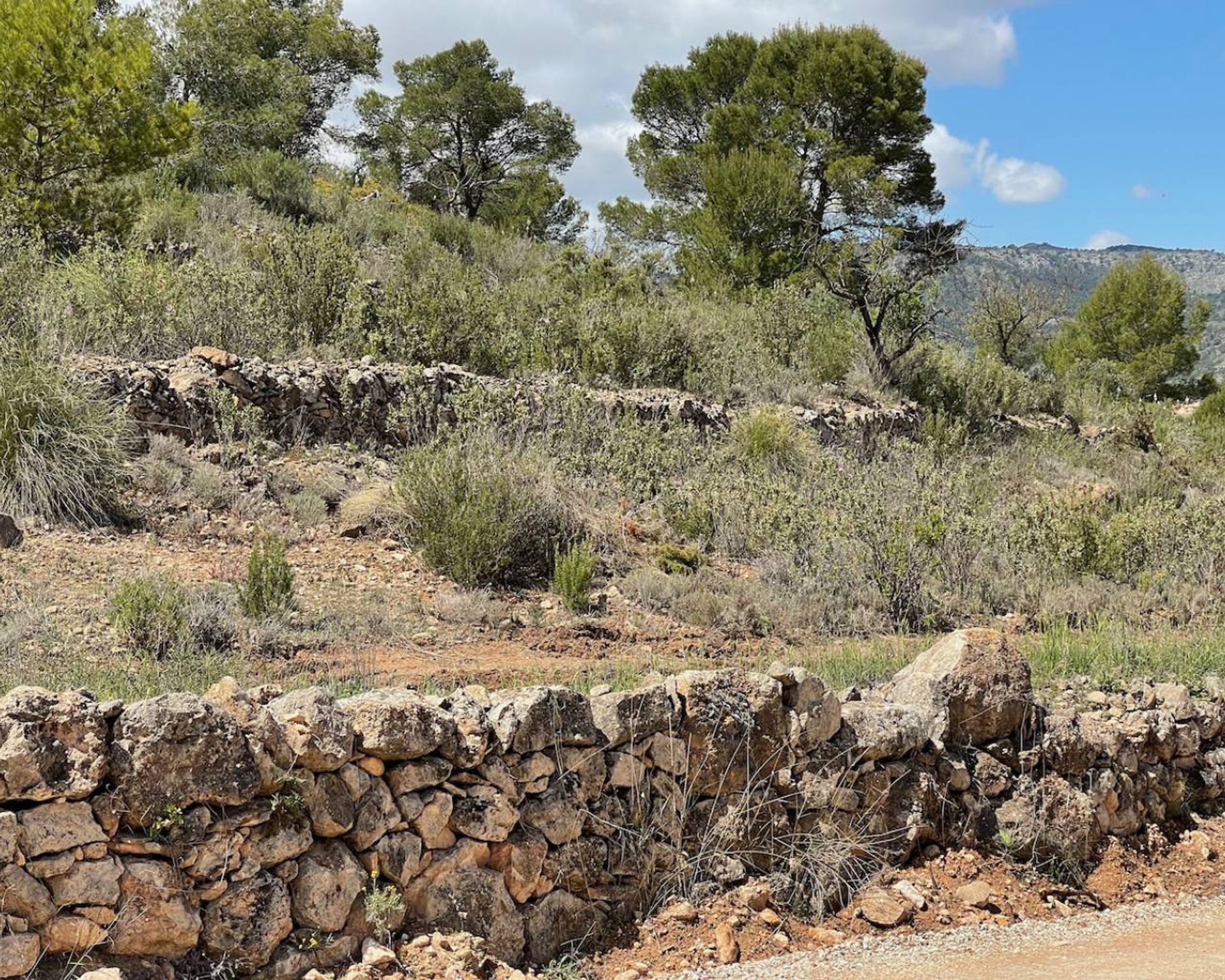 Casa nel Pinoso, Comunidad Valenciana 11171509