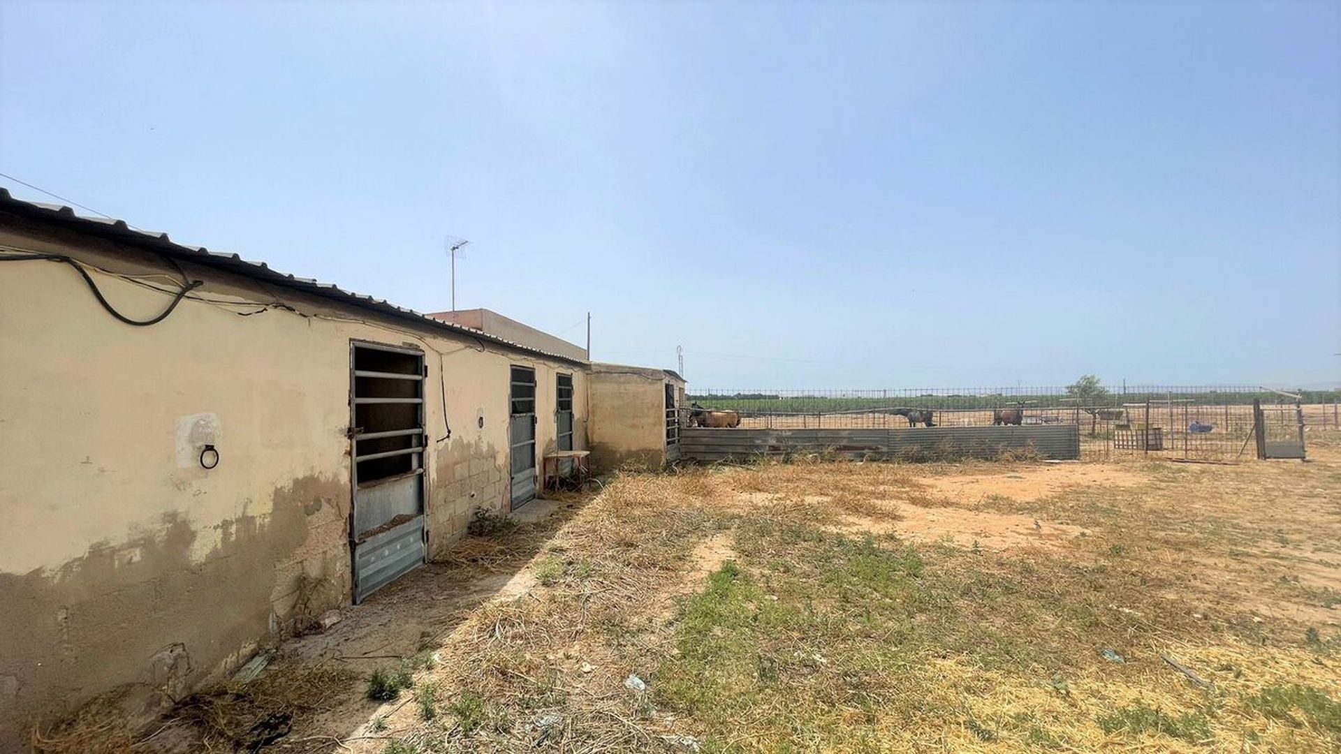 土地 在 Torre-Pacheco, Región de Murcia 11171775