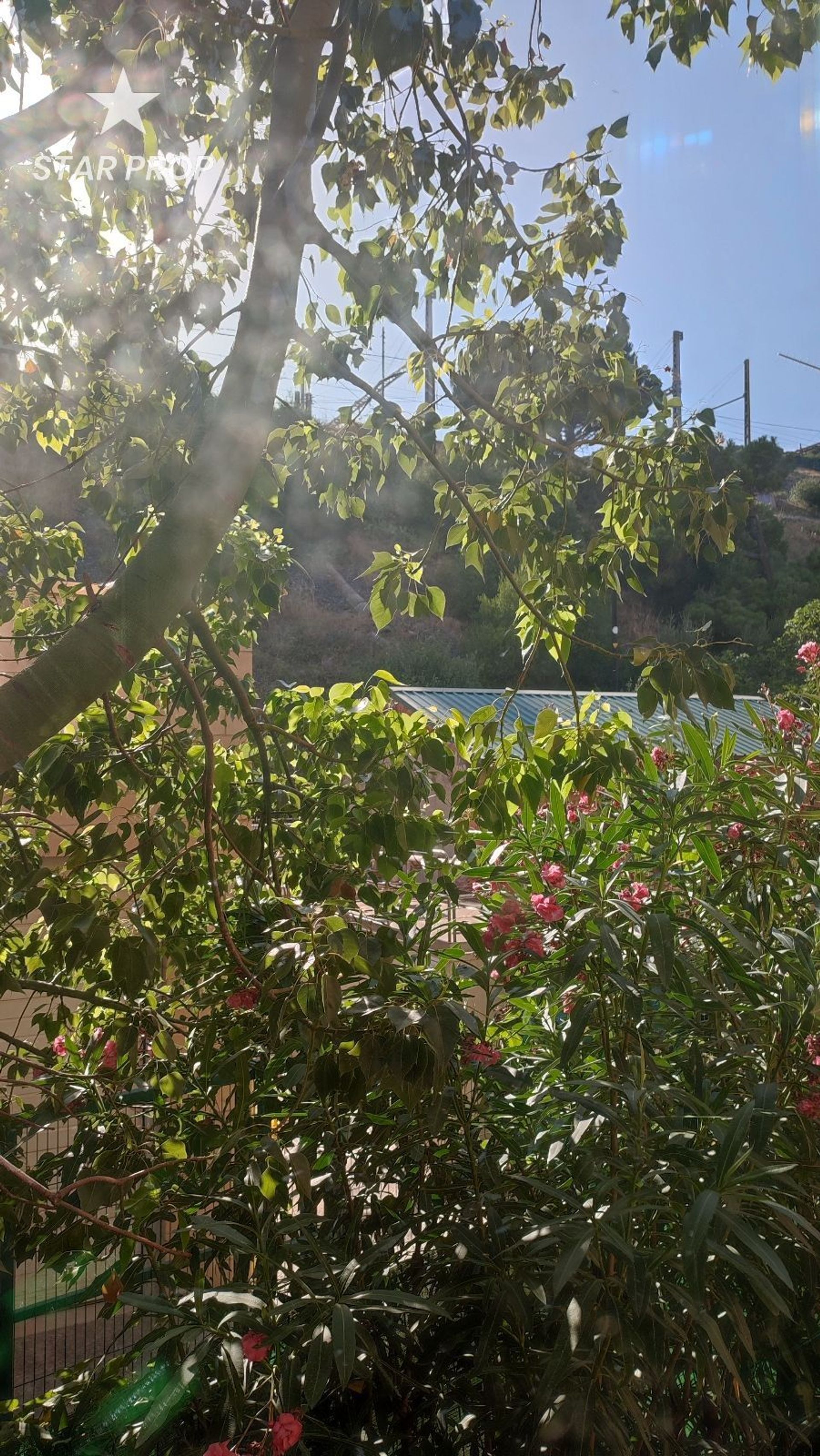 Borettslag i Portbou, Catalunya 11171942