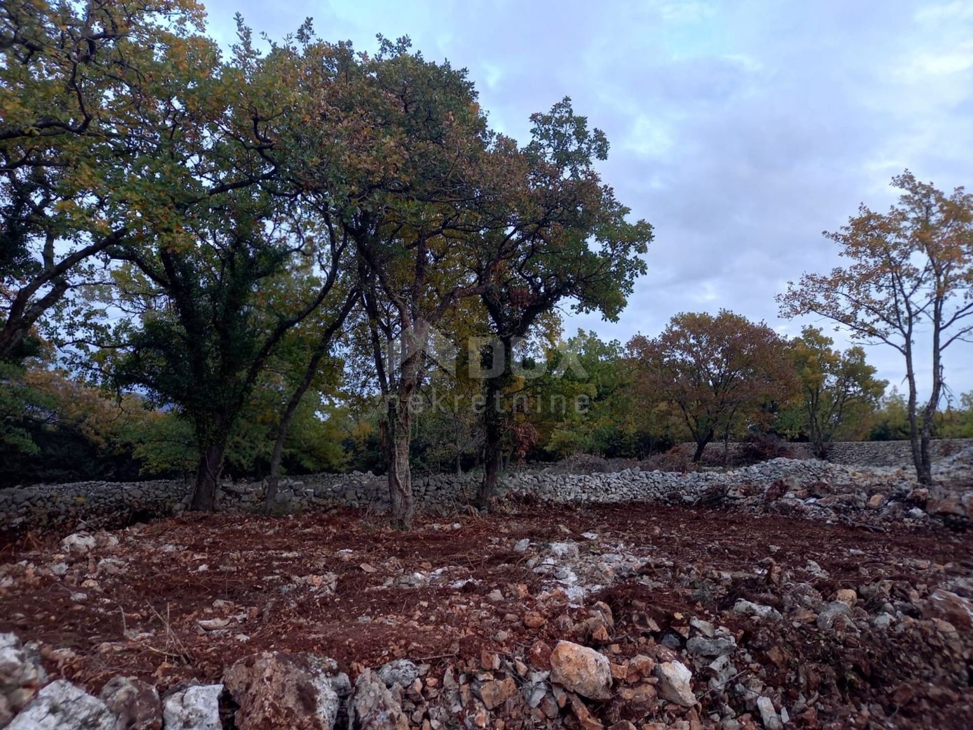 Terre dans Šilo, Primorje-Gorski Kotar County 11172572