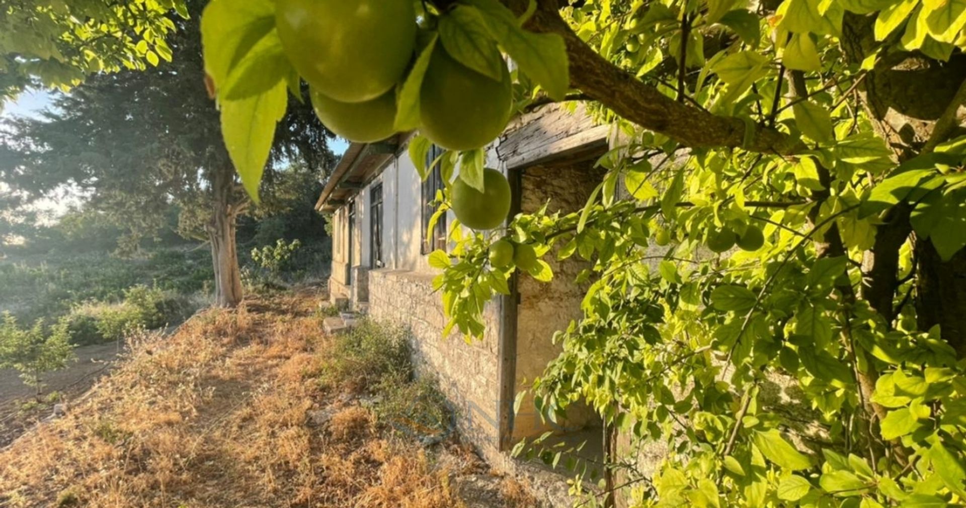 Haus im Mesa Chorio, Pafos 11172816