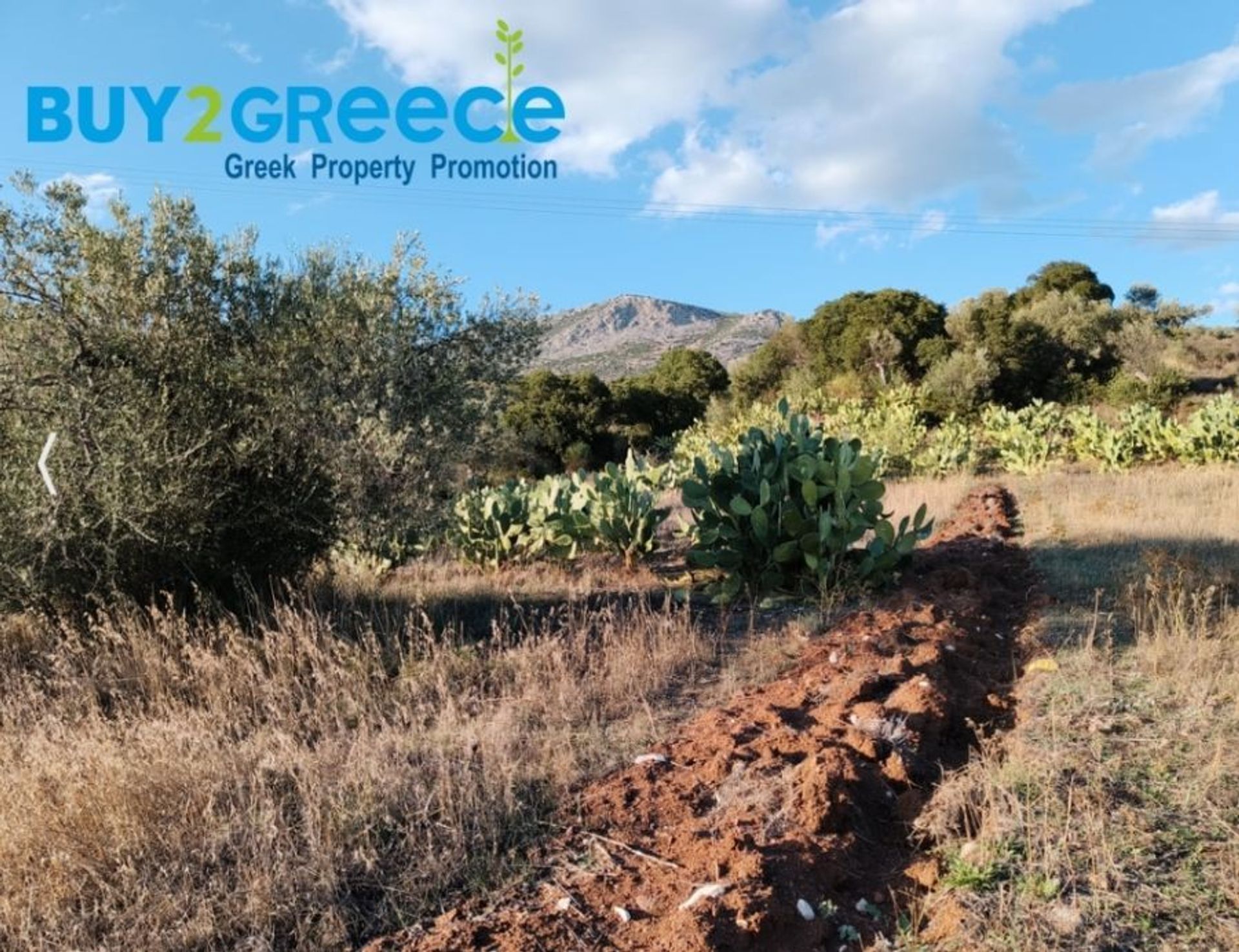 Land in Agia Eleni,  11173017