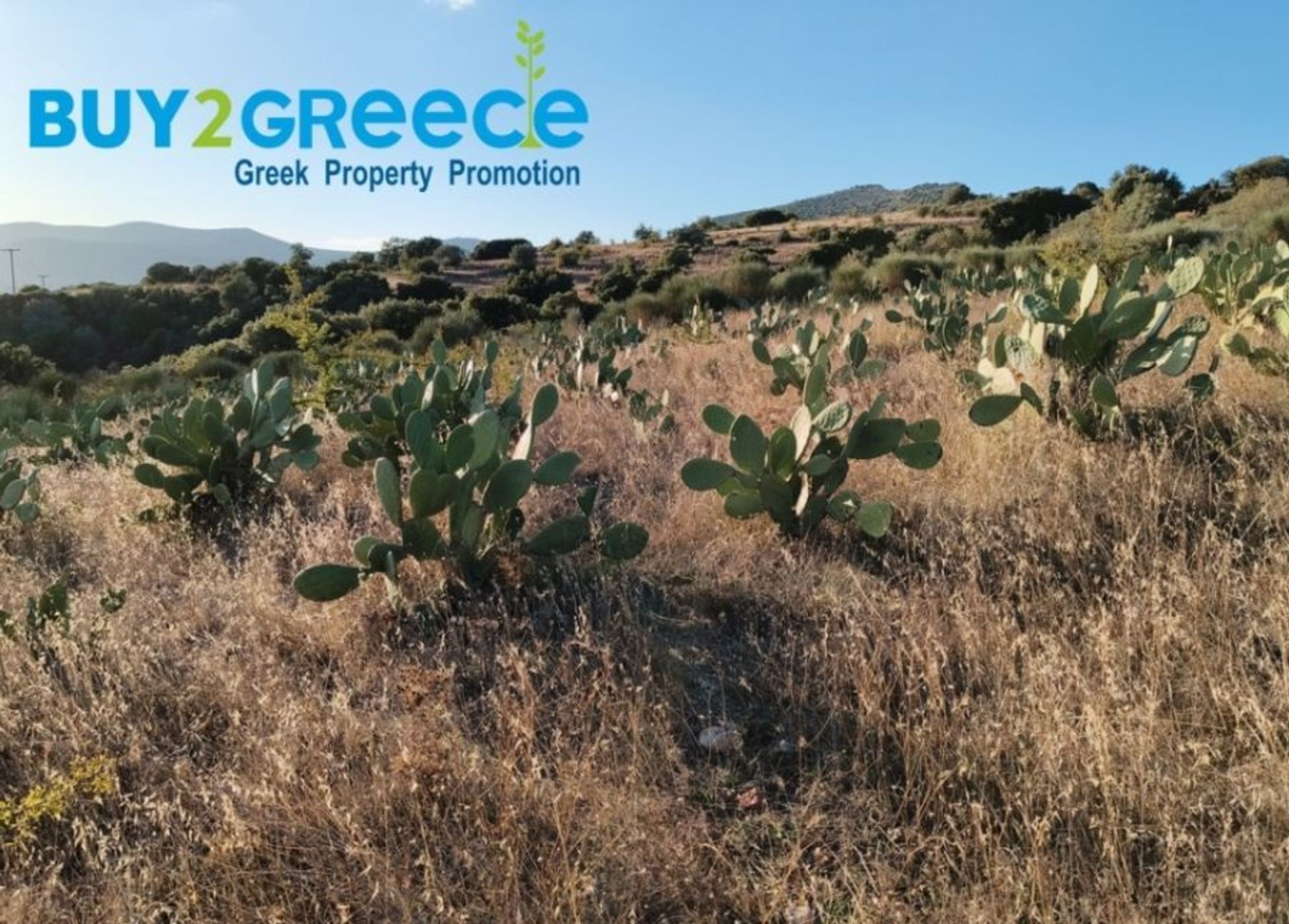 Land in Agia Eleni,  11173017