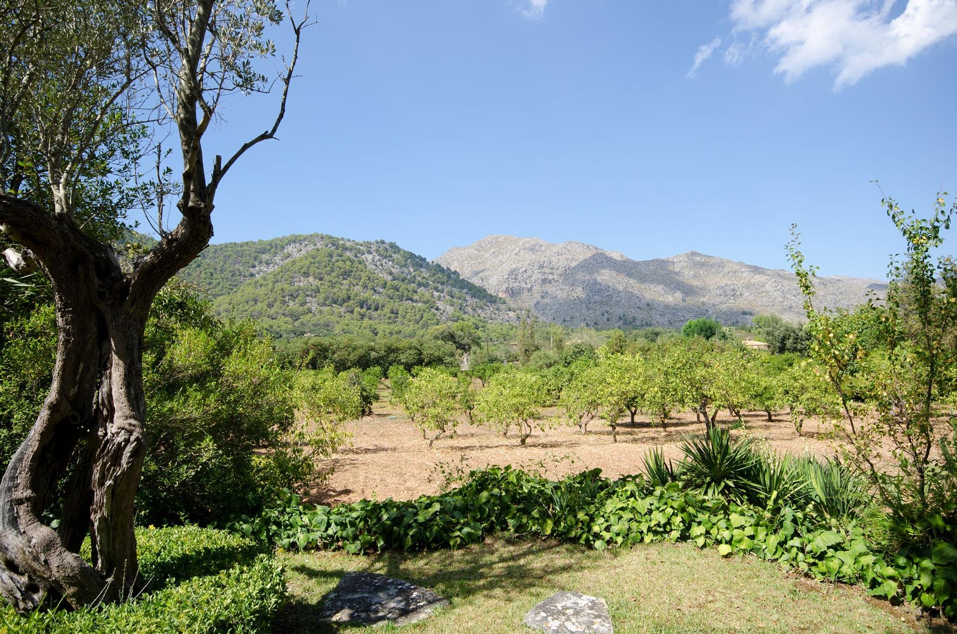 Haus im Pollença, Balearic Islands 11173360