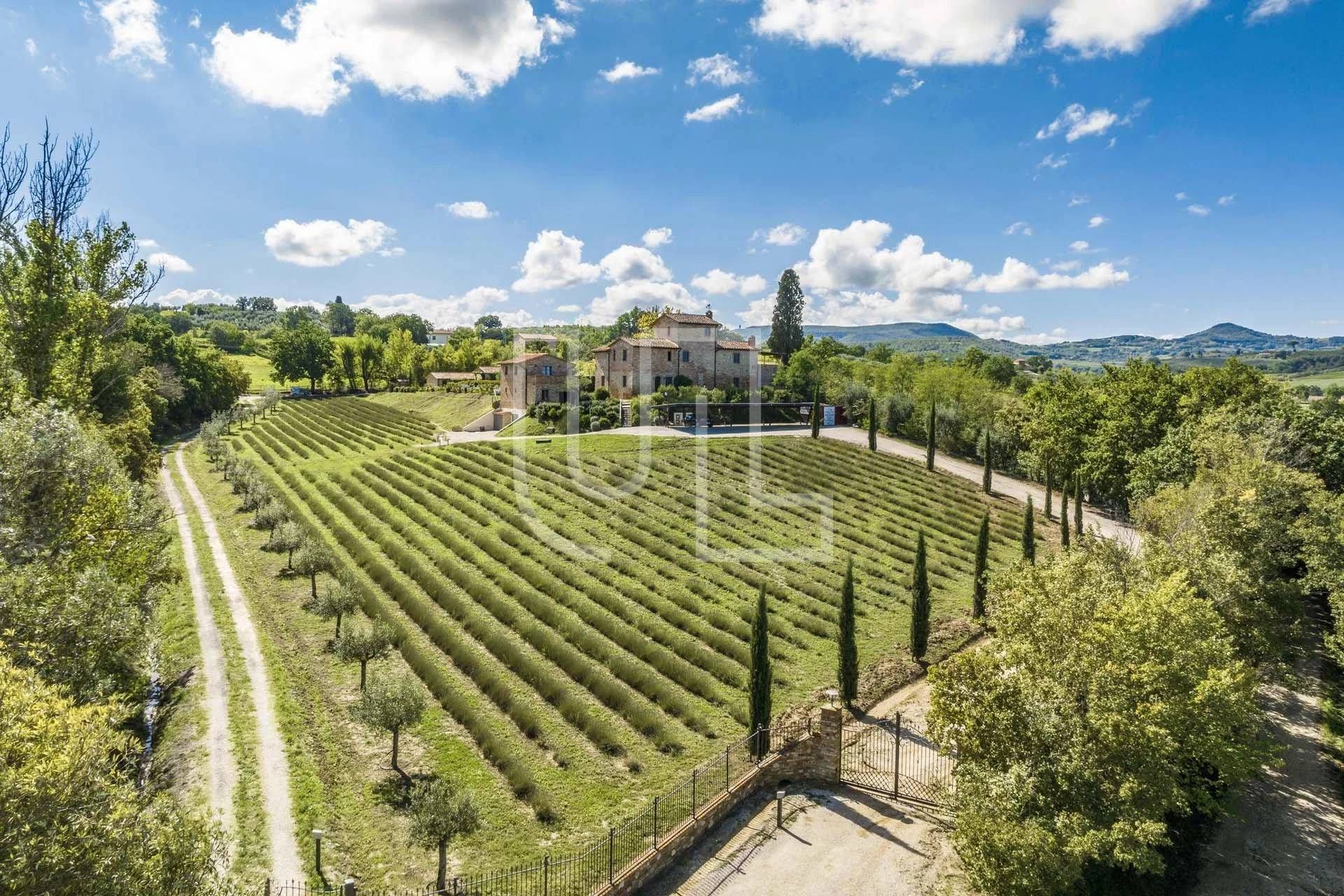 Будинок в Montepulciano, Tuscany 11173414