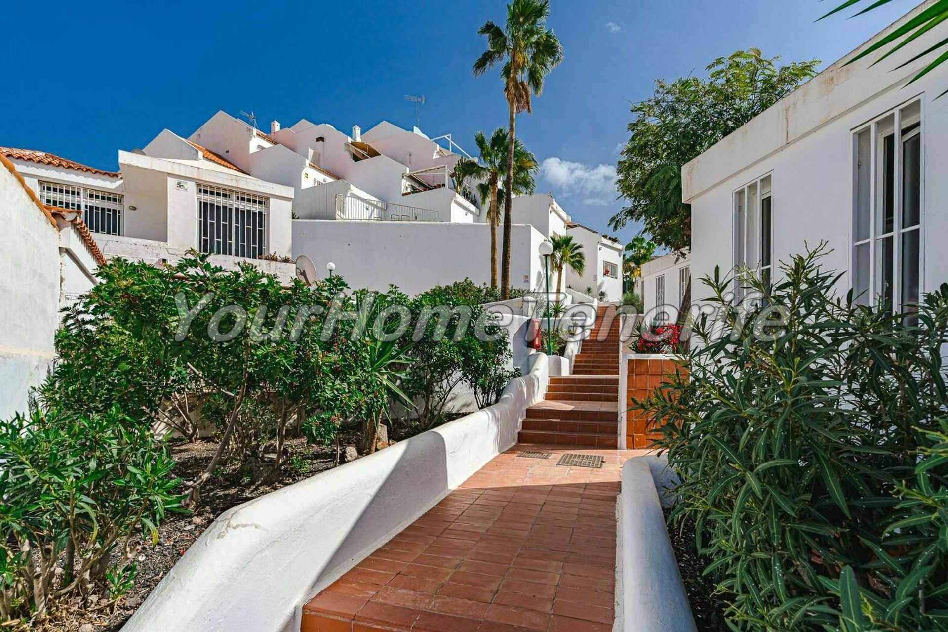 عمارات في Adeje, Canarias 11173517