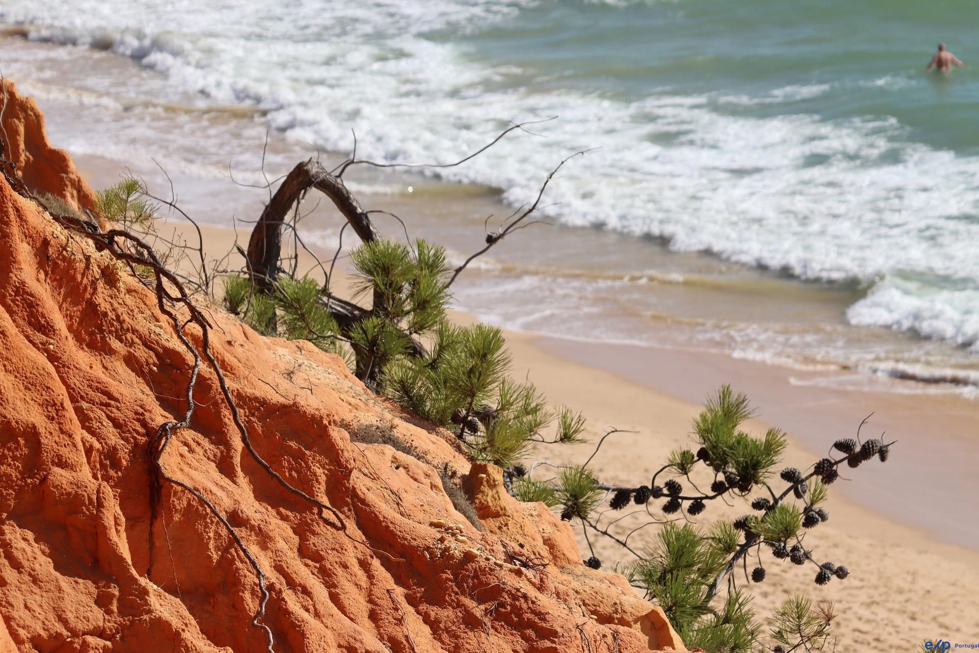 Tanah di Albufeira, Faro District 11173814