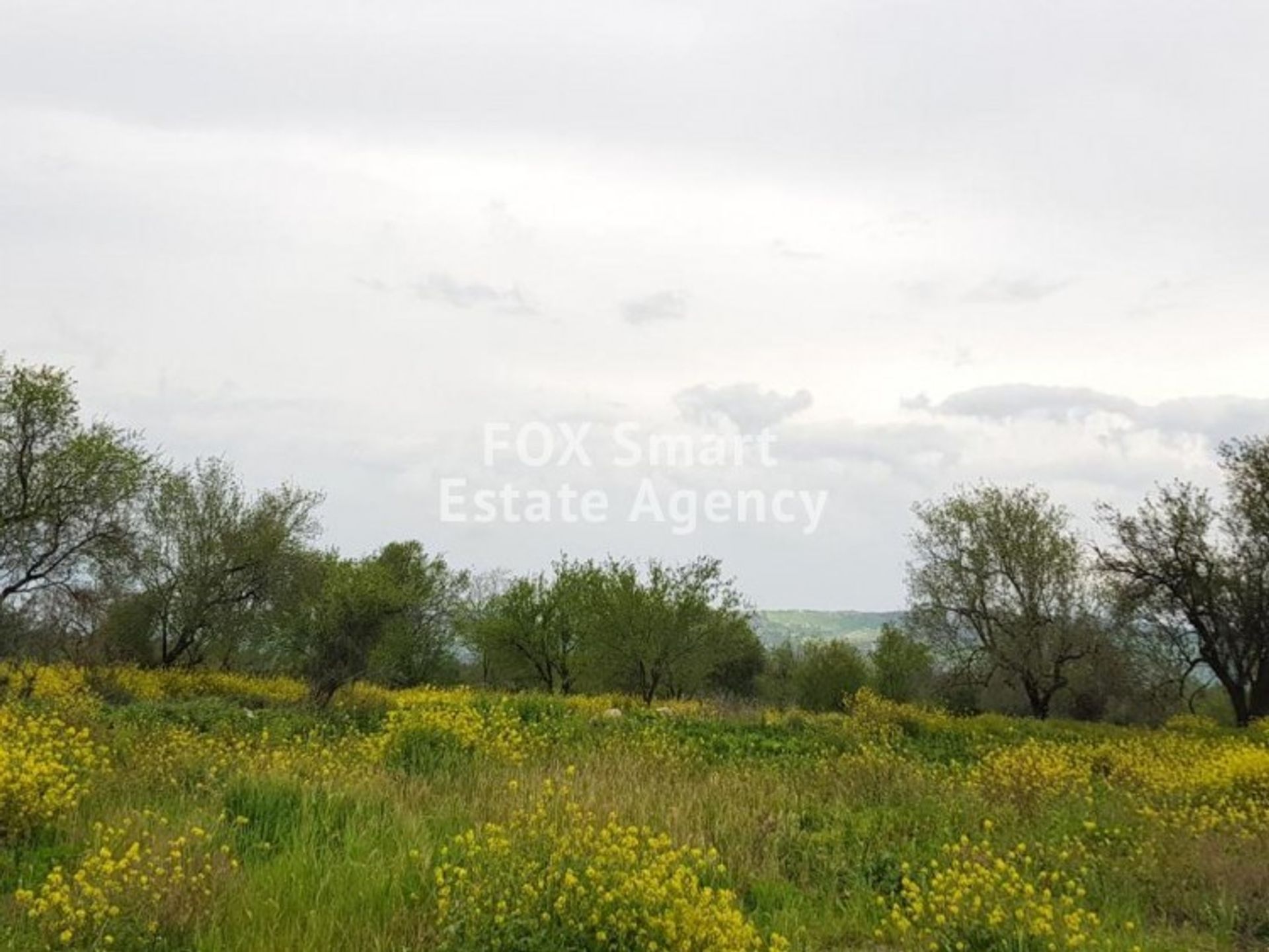 Tanah di Tala, Pafos 11174054