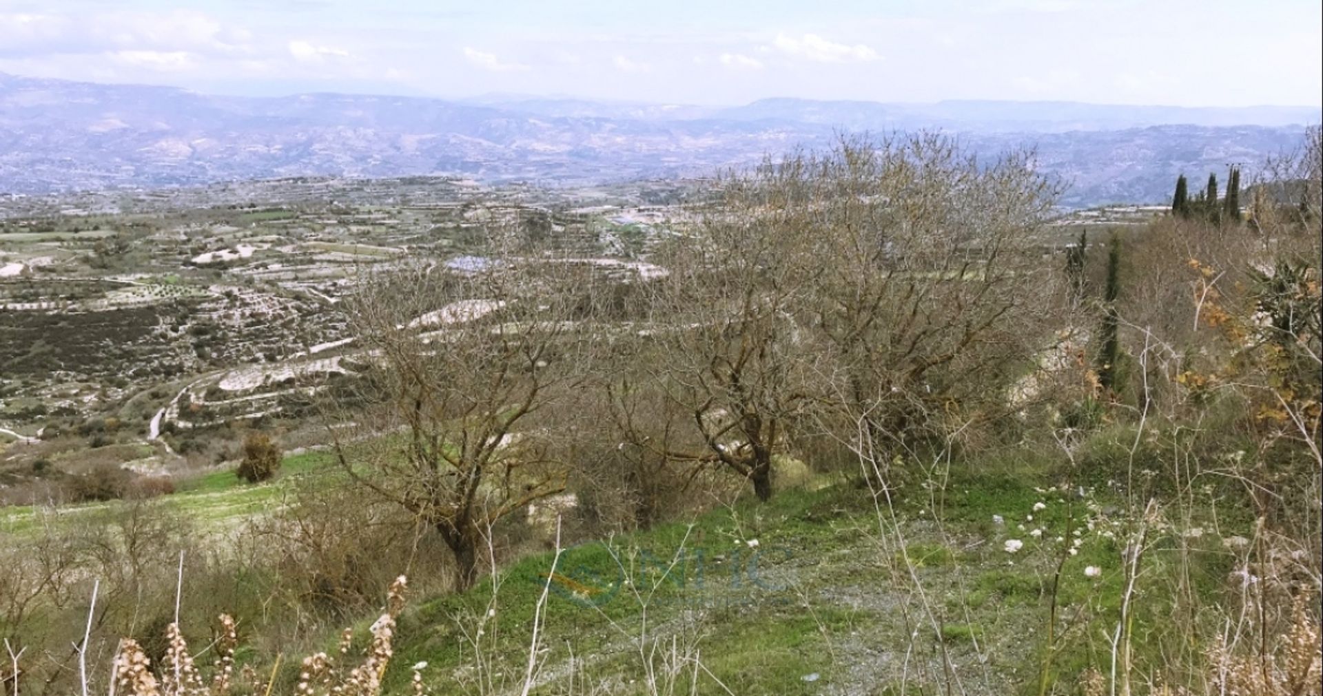 Land in Mesogi, Pafos 11175600