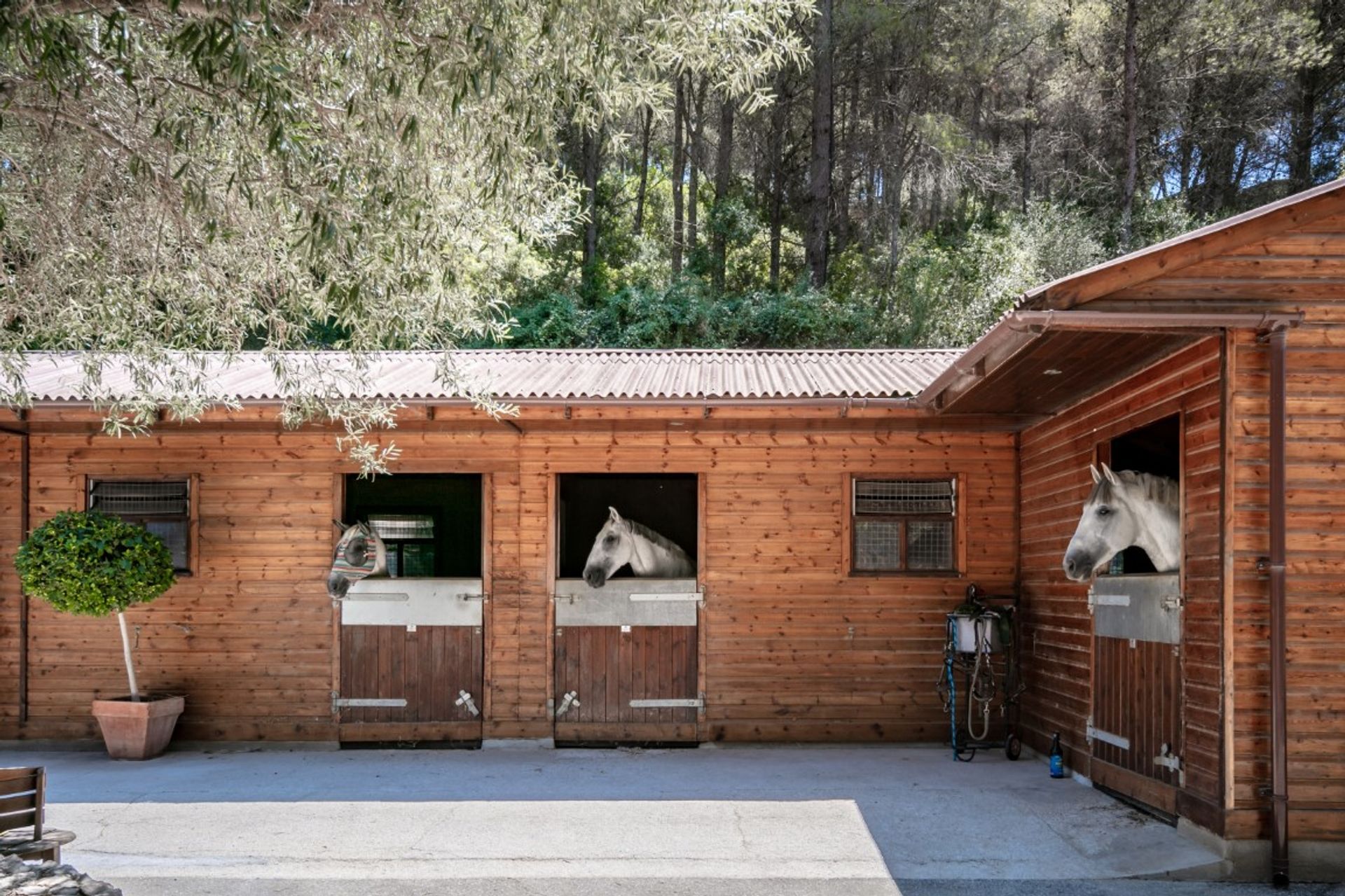 loger dans Dénia, Comunidad Valenciana 11176408