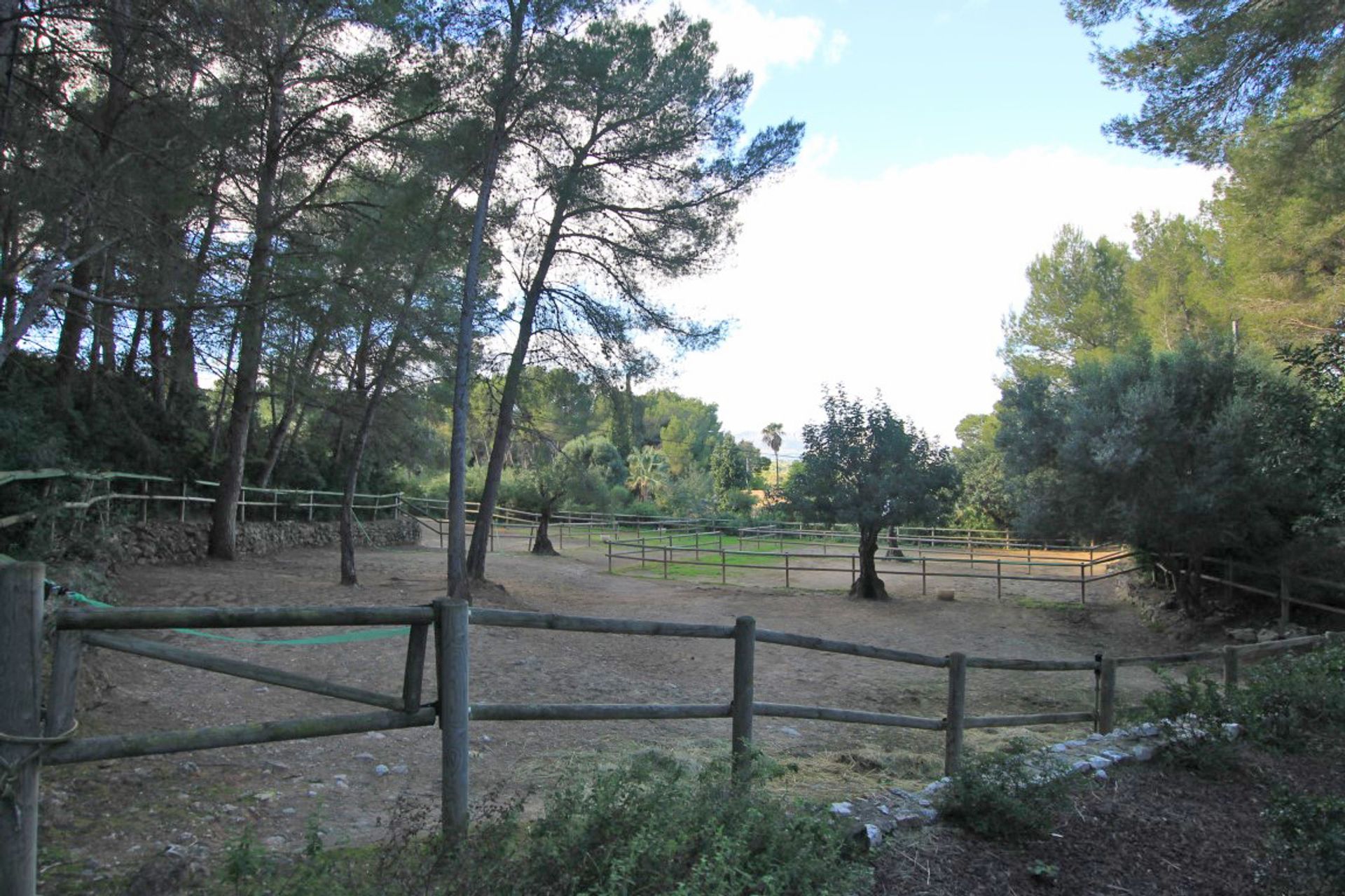 loger dans Dénia, Comunidad Valenciana 11176408