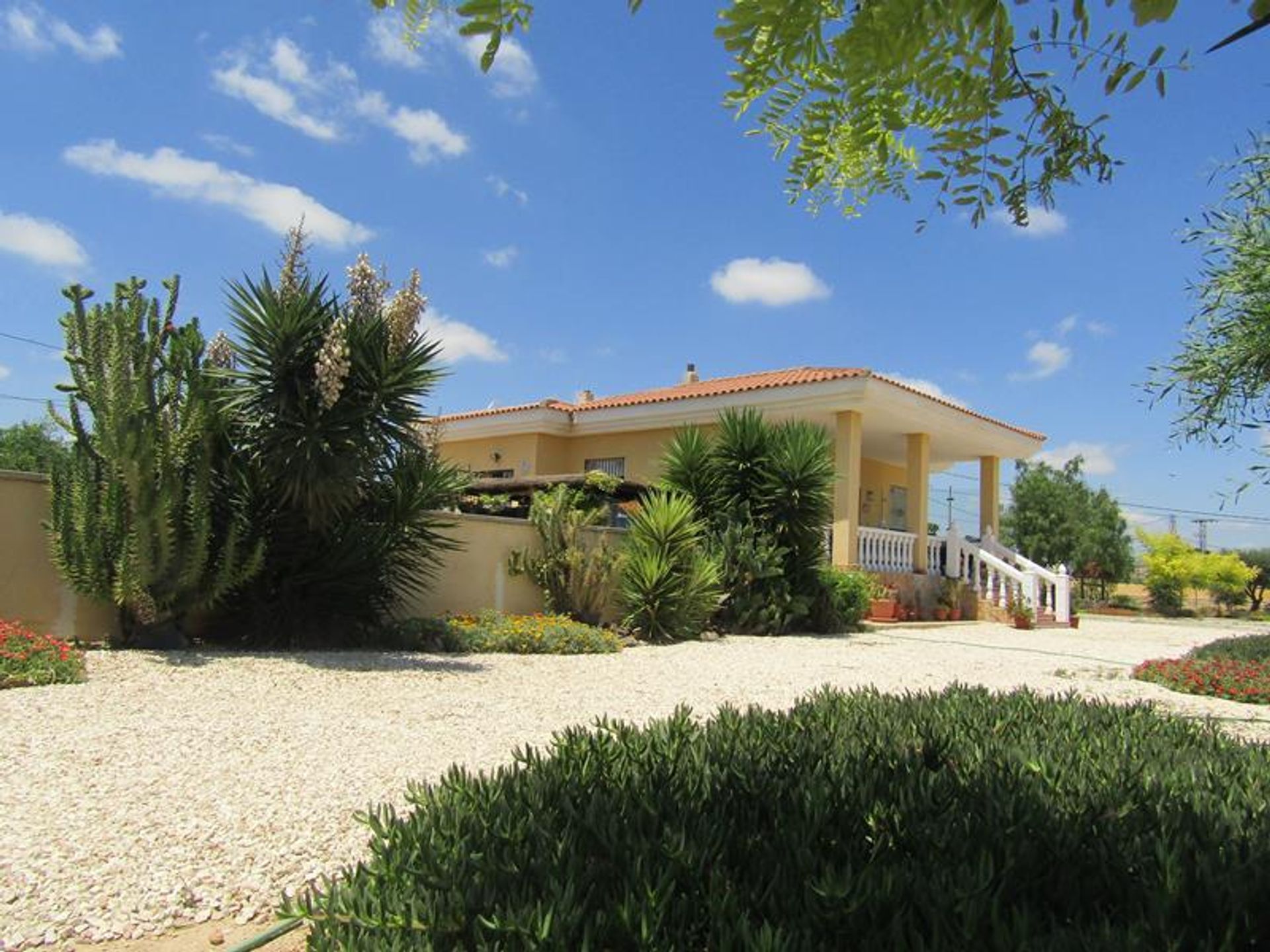 House in Novelda, Valencia 11176466