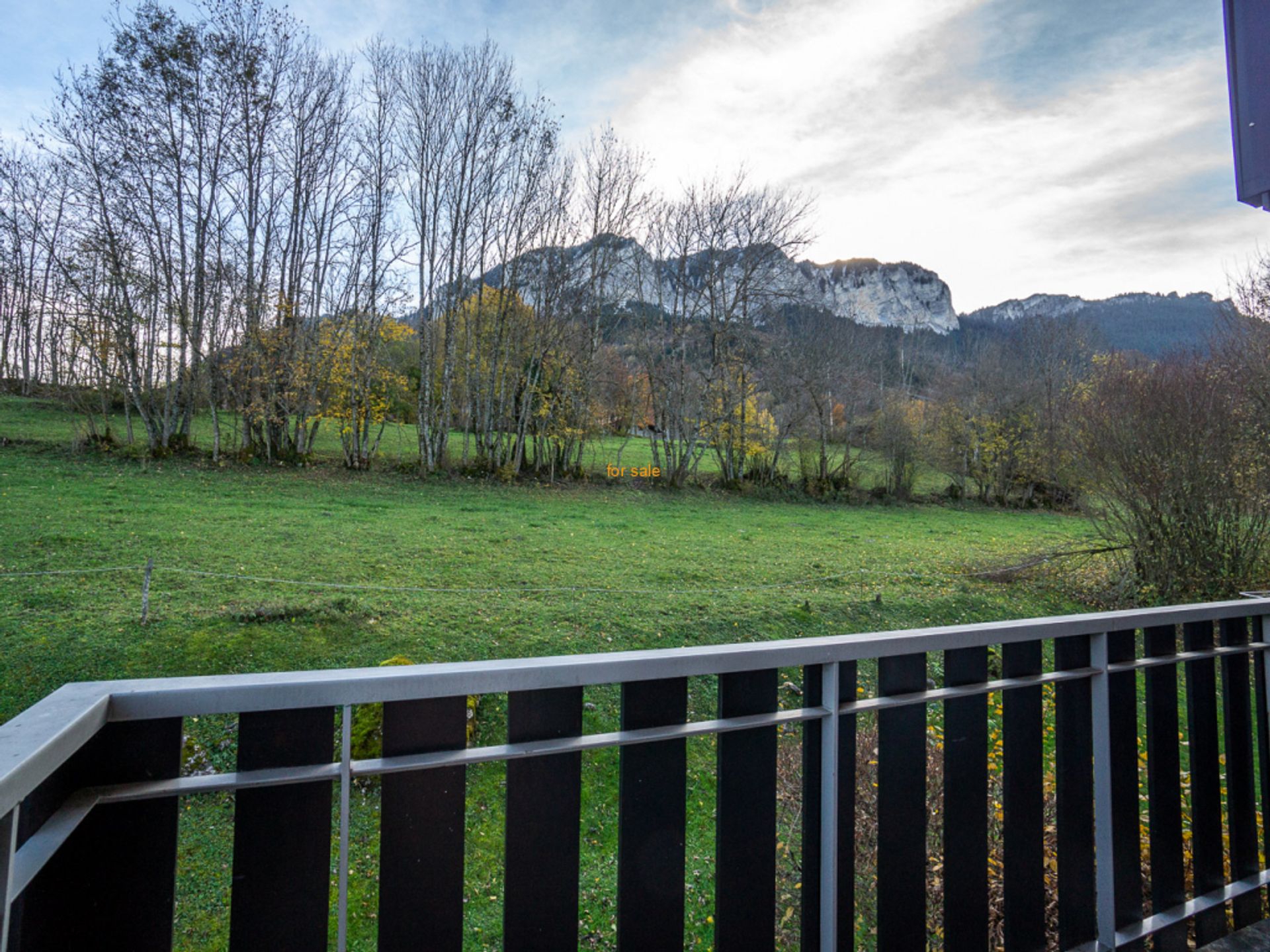 सम्मिलित में Thollon-les-Mémises, Auvergne-Rhône-Alpes 11176518