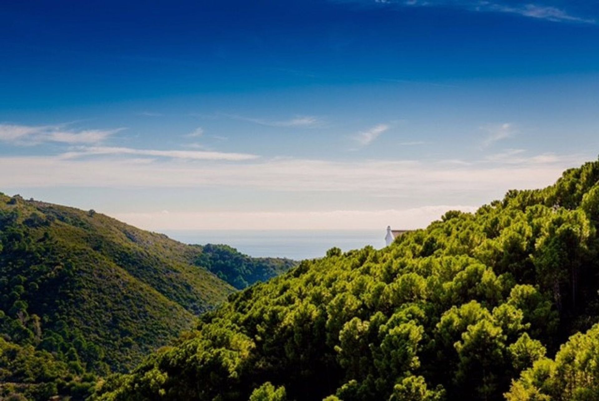 Hus i Benahavís, Andalusia 11176854