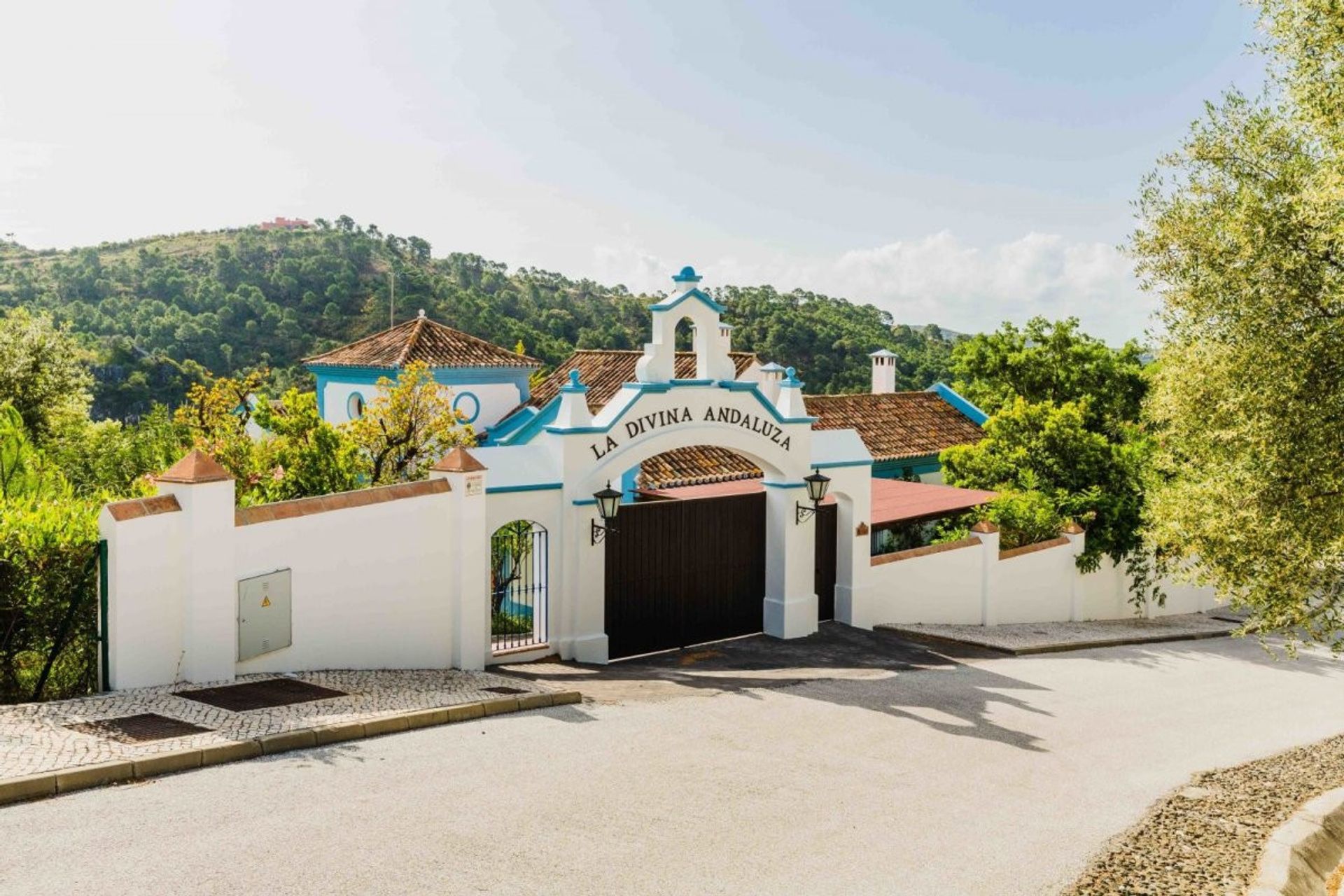 Haus im Benahavís, Andalusia 11176854