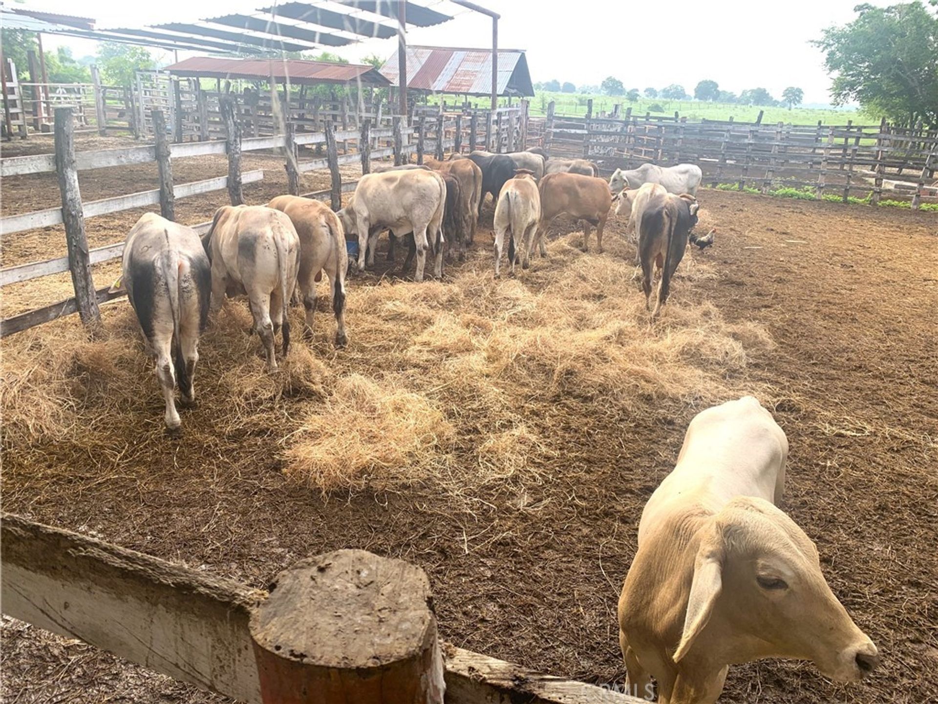 Rumah di Tamuín, San Luis Potosí 11177286