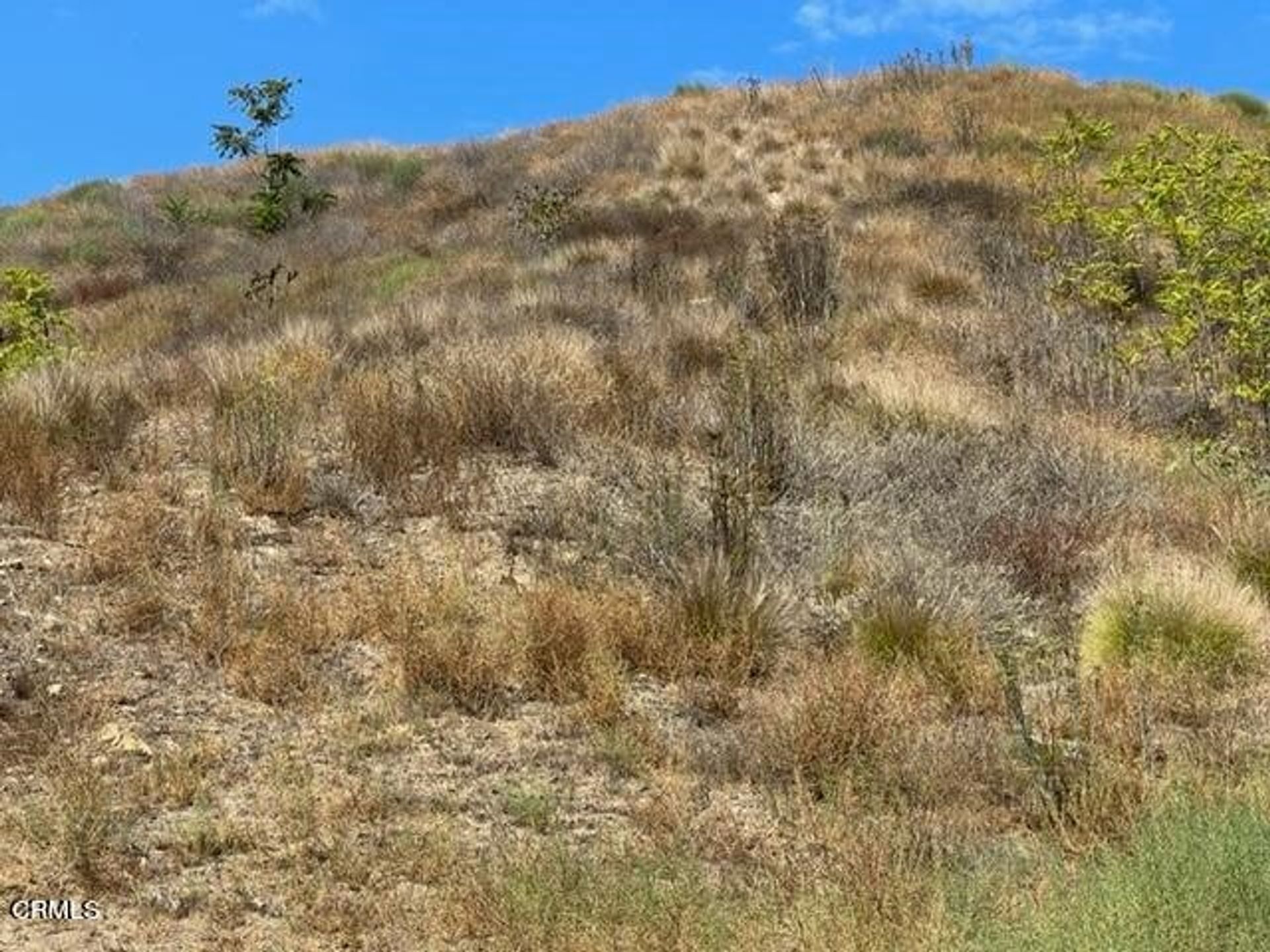 Земельные участки в Los Angeles, California 11177384