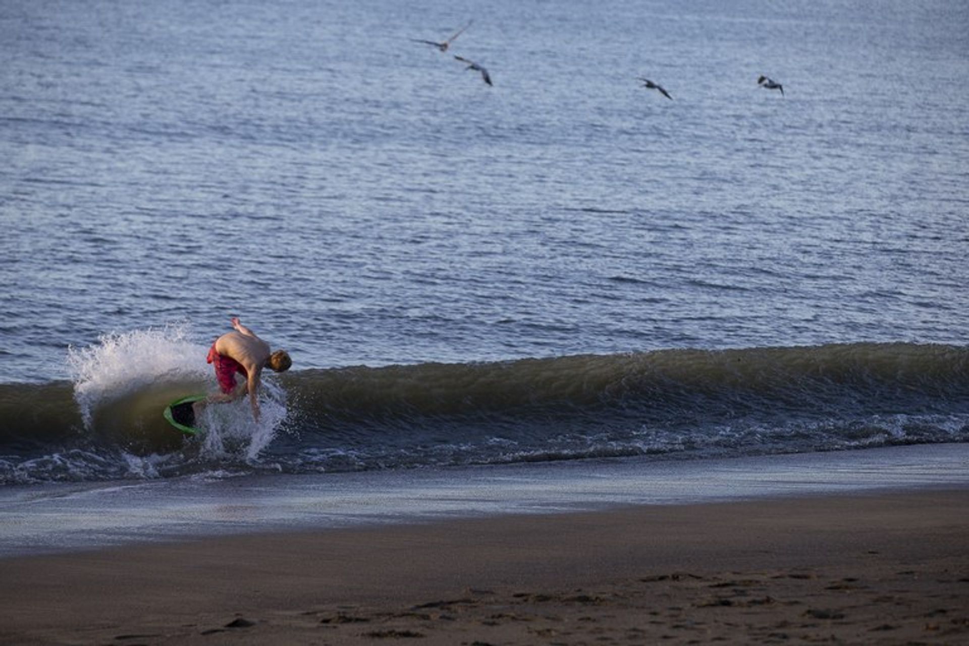 其他 在 , Provincia de Guanacaste 11177414