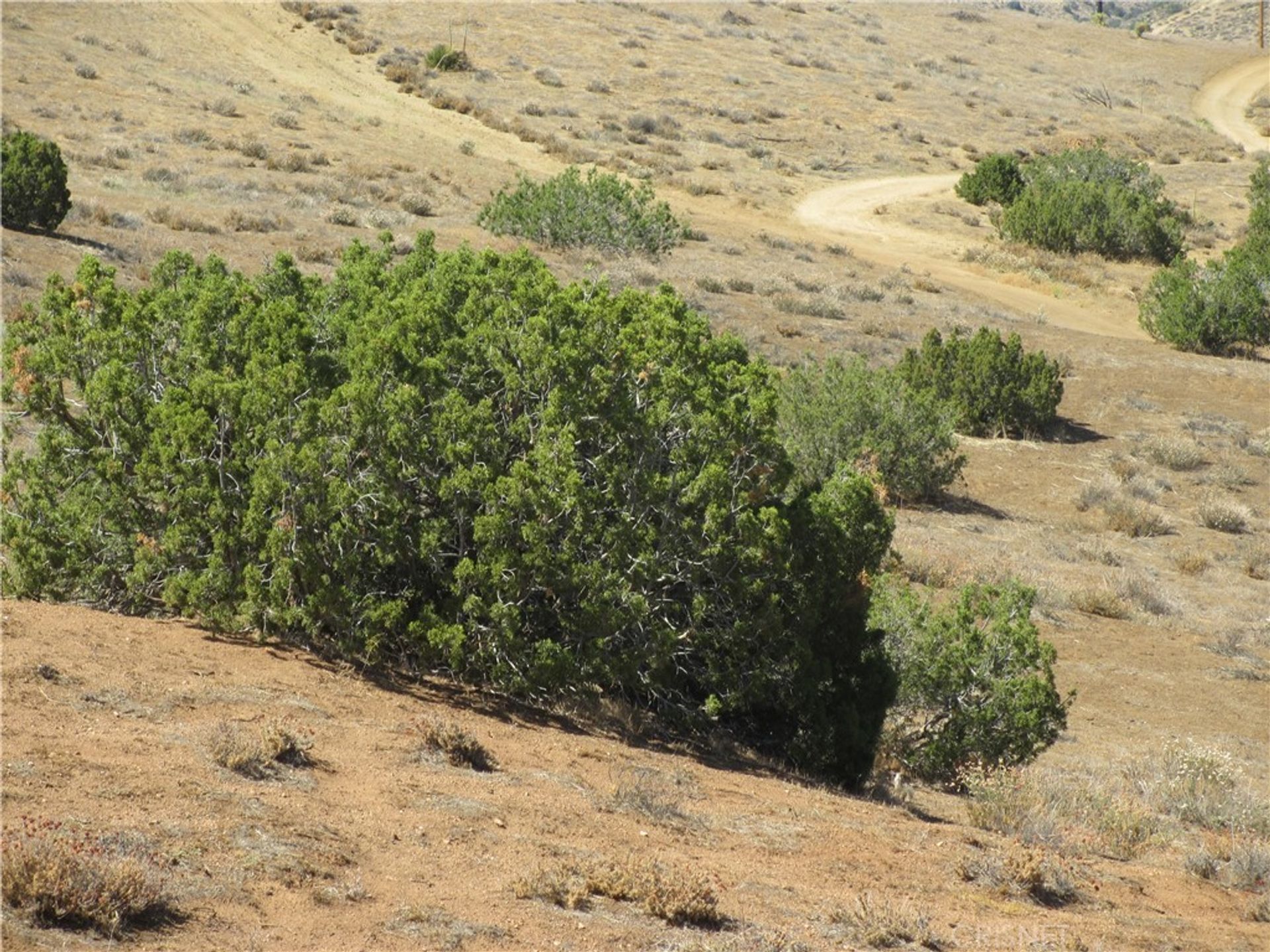 Земельные участки в , California 11177505