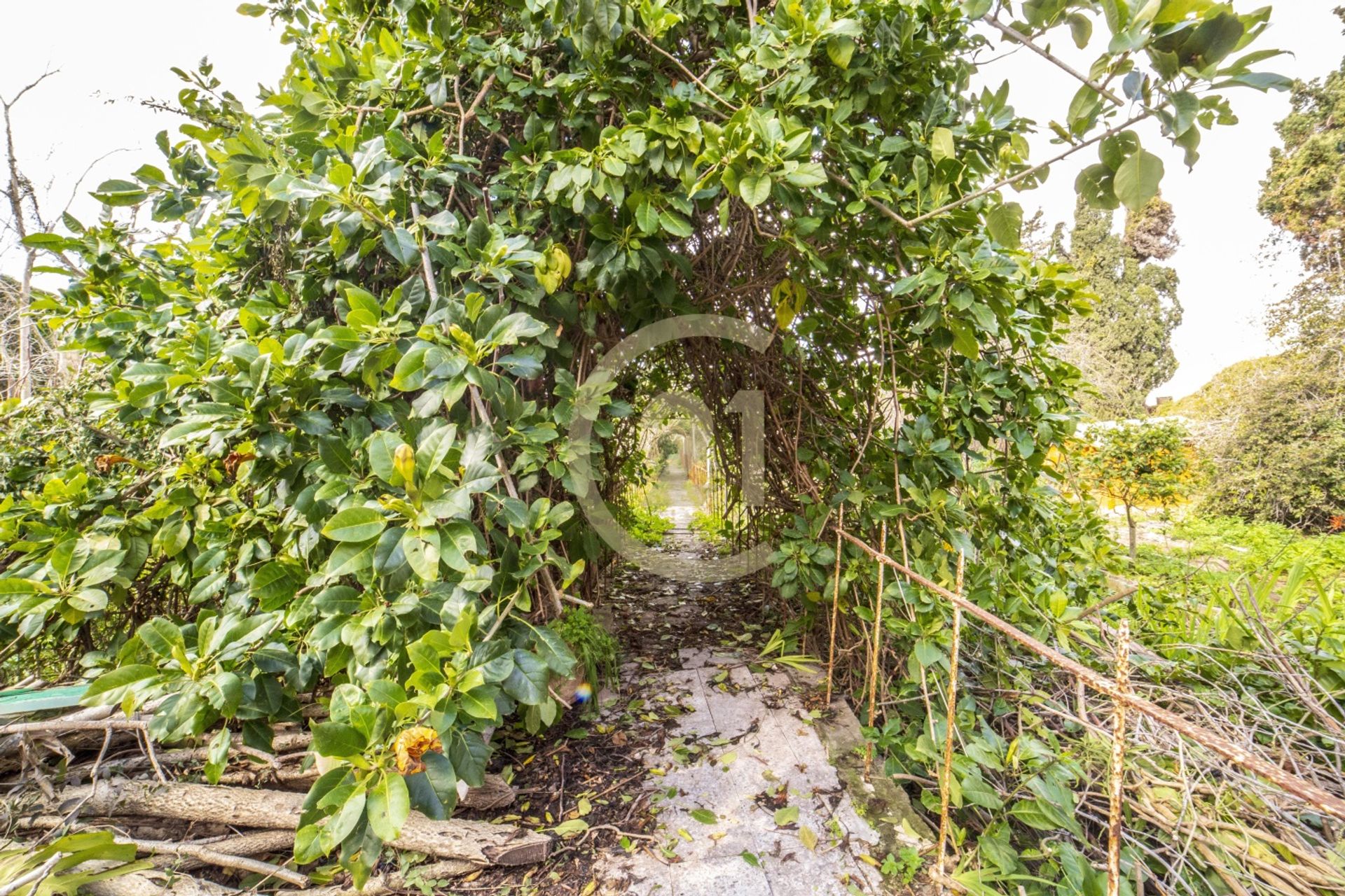 Borettslag i Ħal Għaxaq,  11177759