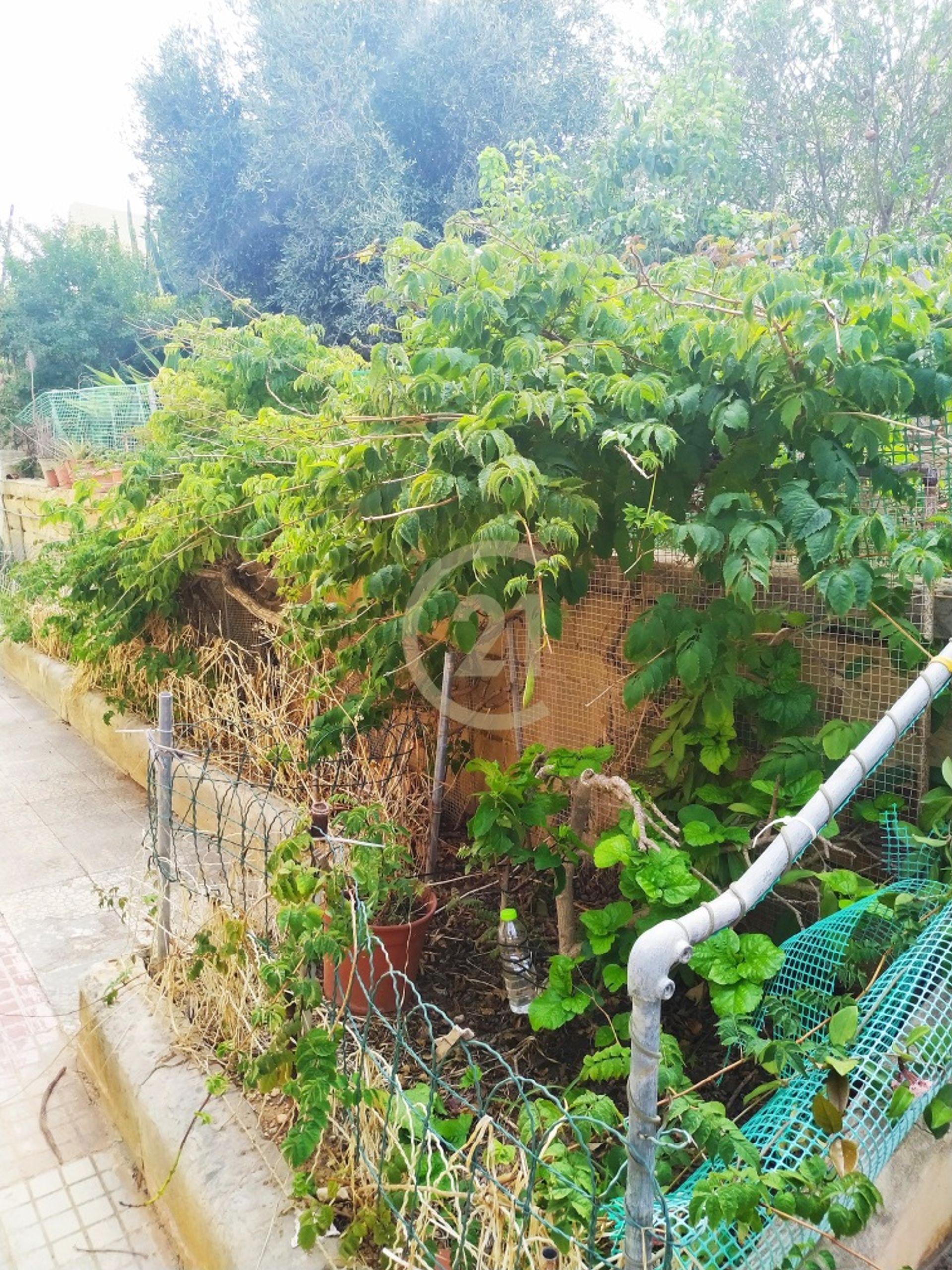 casa en Marsaskala, Marsaskala 11177872