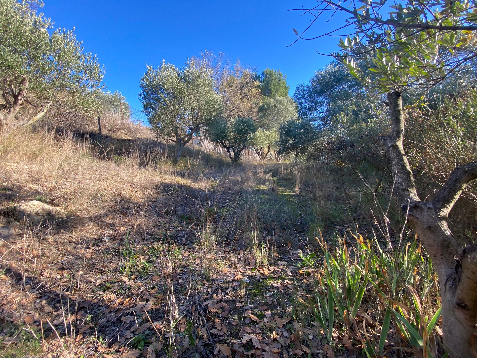 Casa nel Roujan, Occitanie 11177909