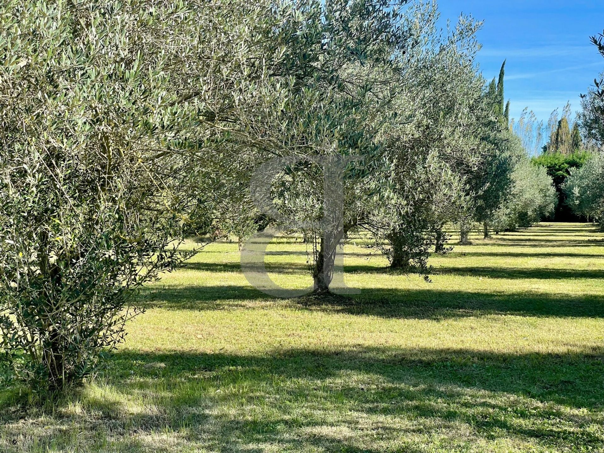 House in Saint-Rémy-de-Provence, Provence-Alpes-Côte d'Azur 11178011