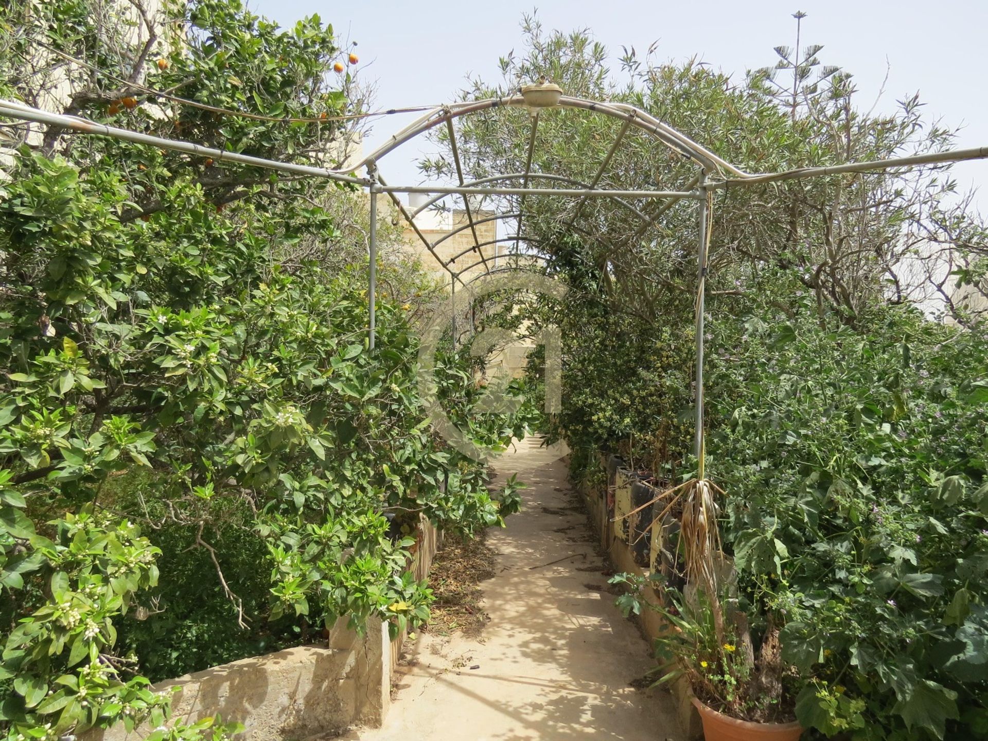 Casa nel Ħad-Dingli,  11178177