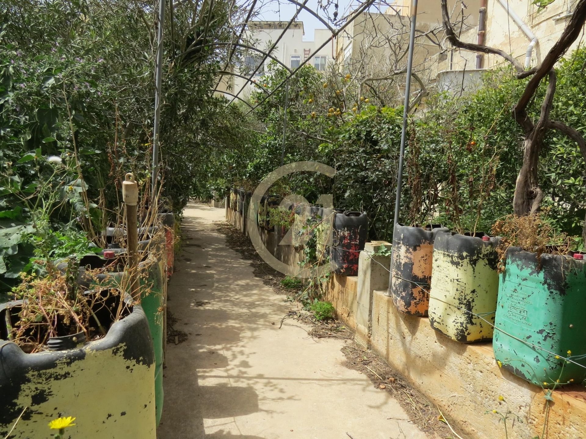 Huis in Dingli, Dingli 11178177