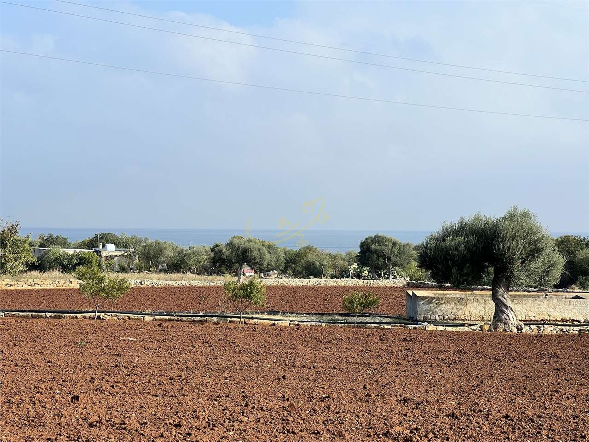 Land in Polignano a Mare, Apulia 11178654