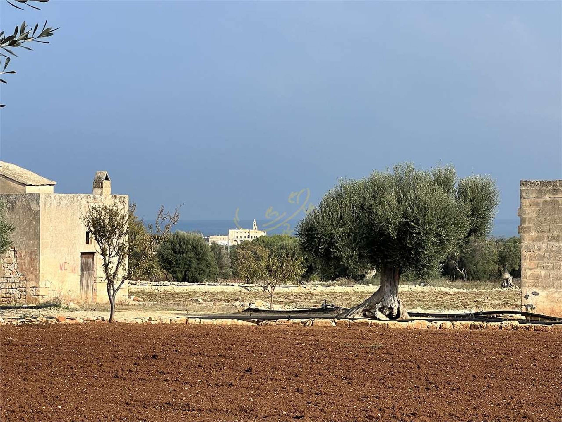 Tanah di Polignano dan Mare, Puglia 11178654