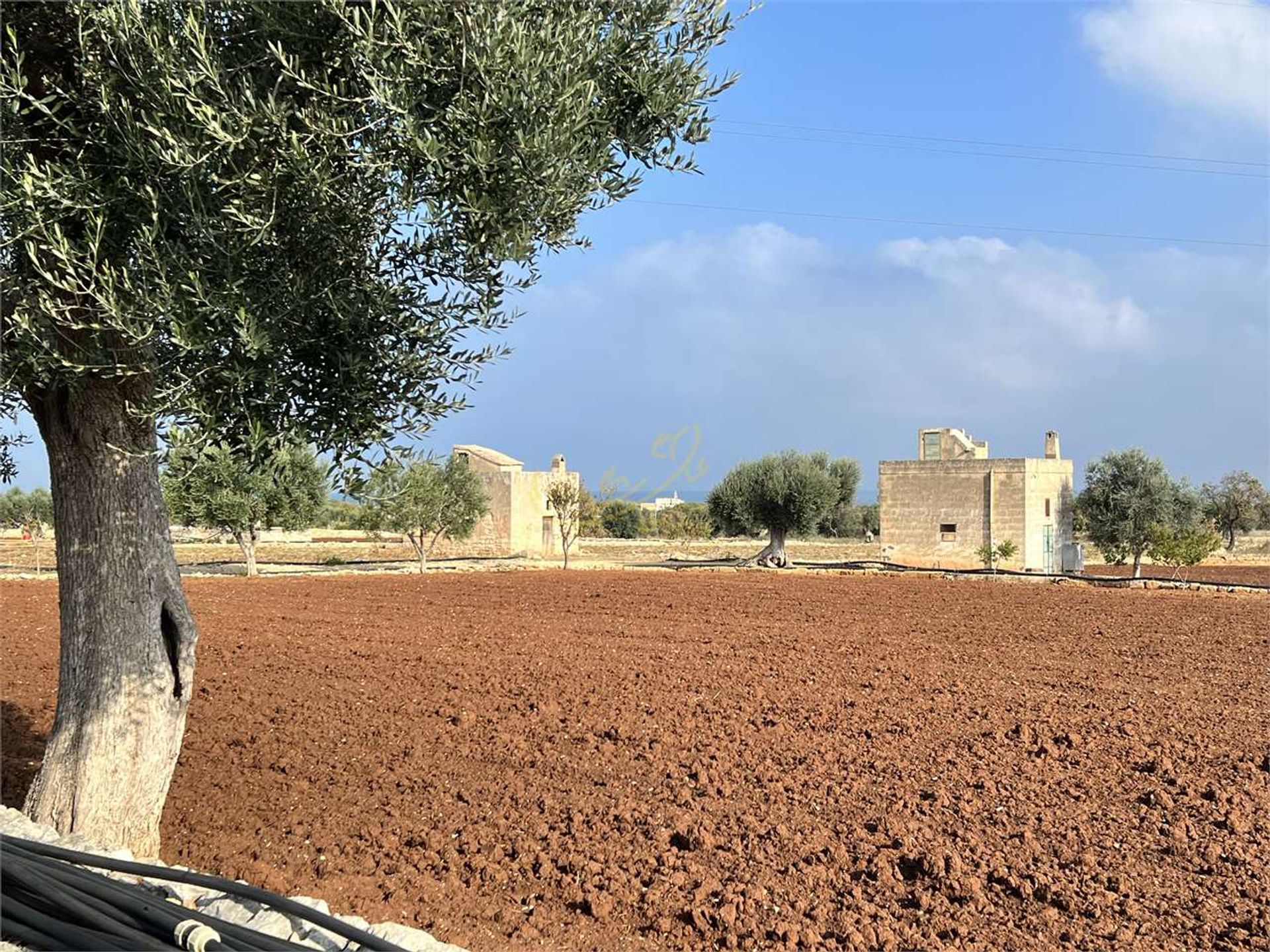 Tierra en Polignano a Mare, Apulia 11178654