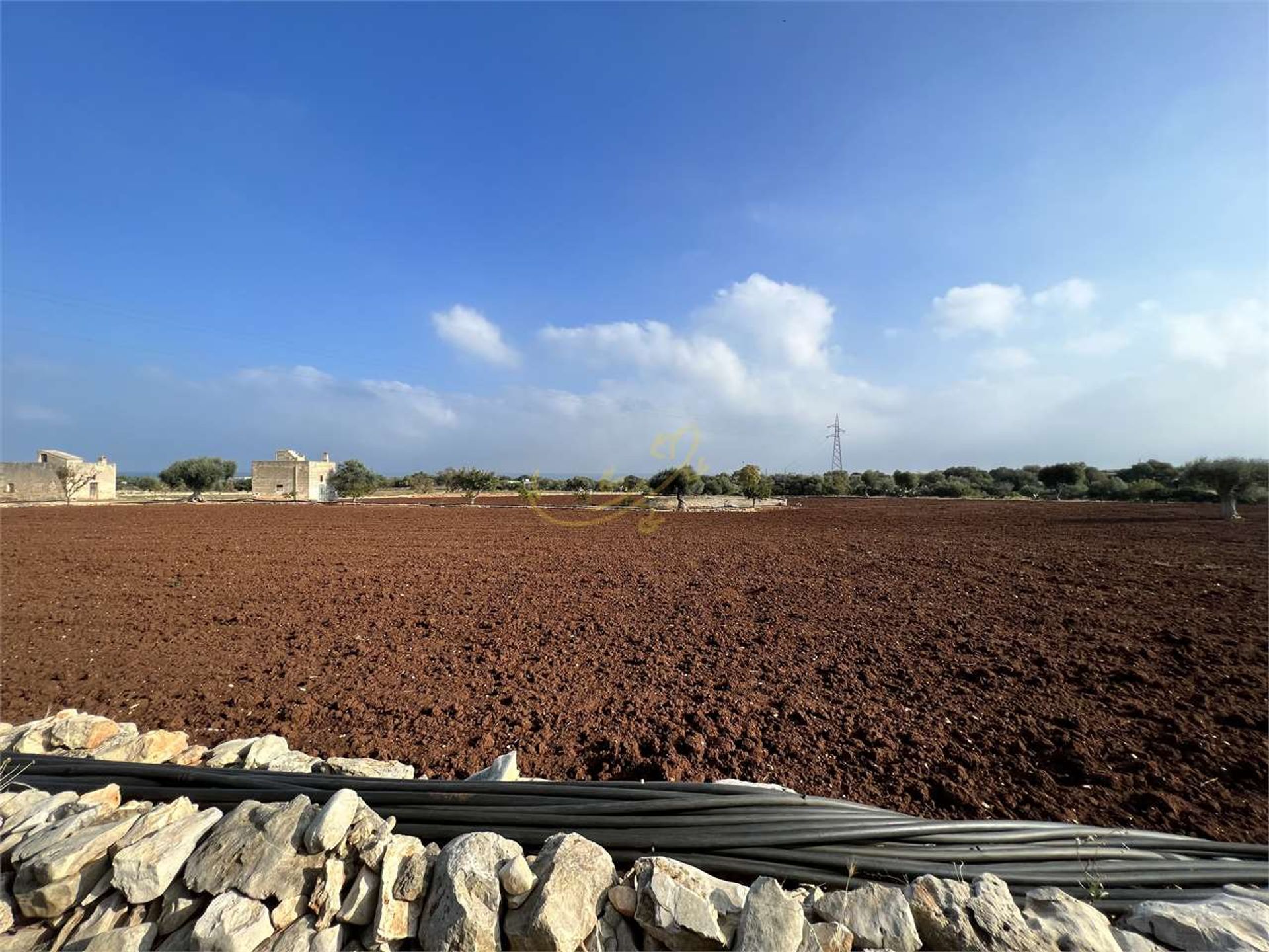 Land in Polignano a Mare, Puglia 11178654