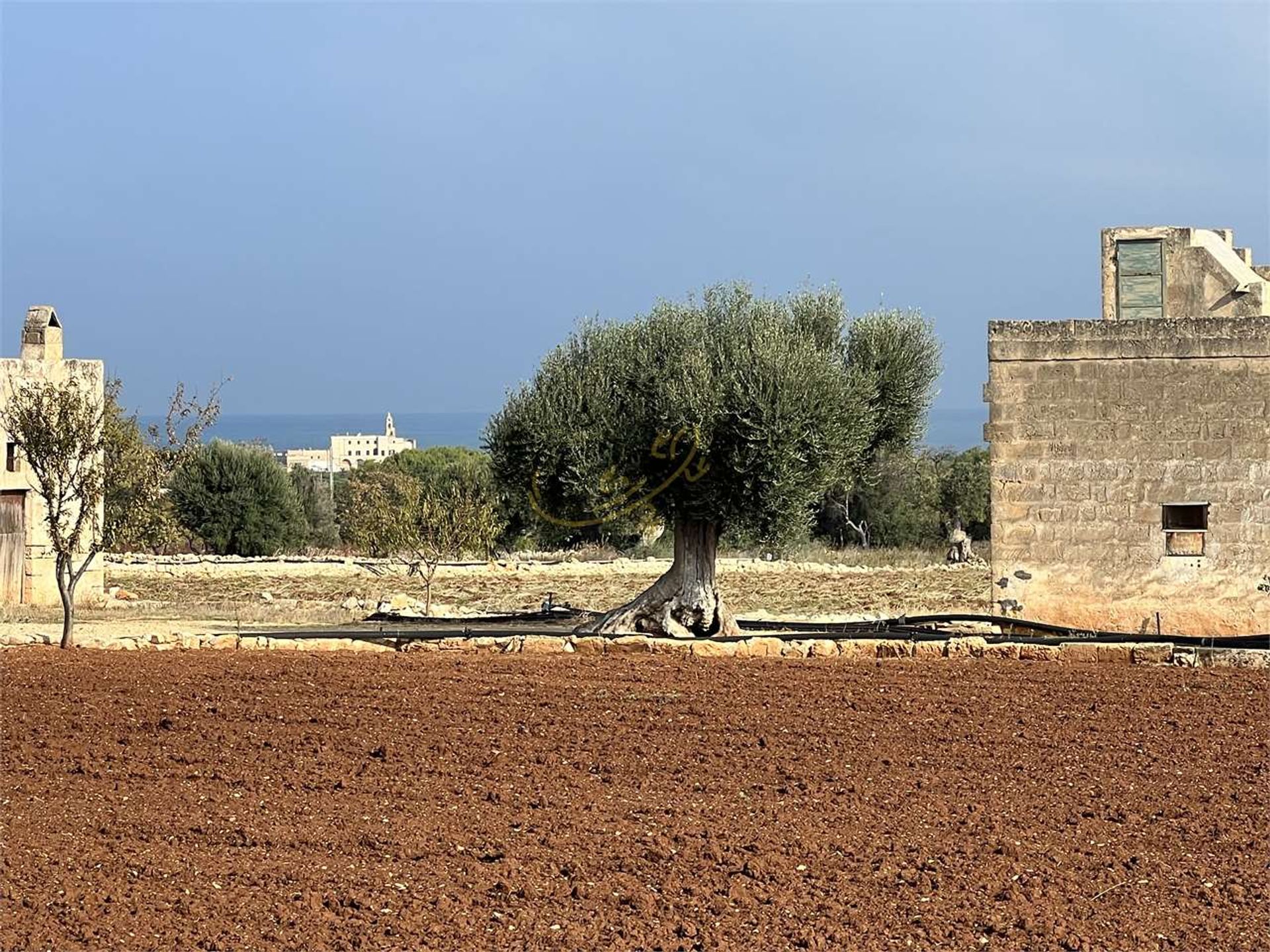 Tanah dalam Polignano a Mare, Apulia 11178654