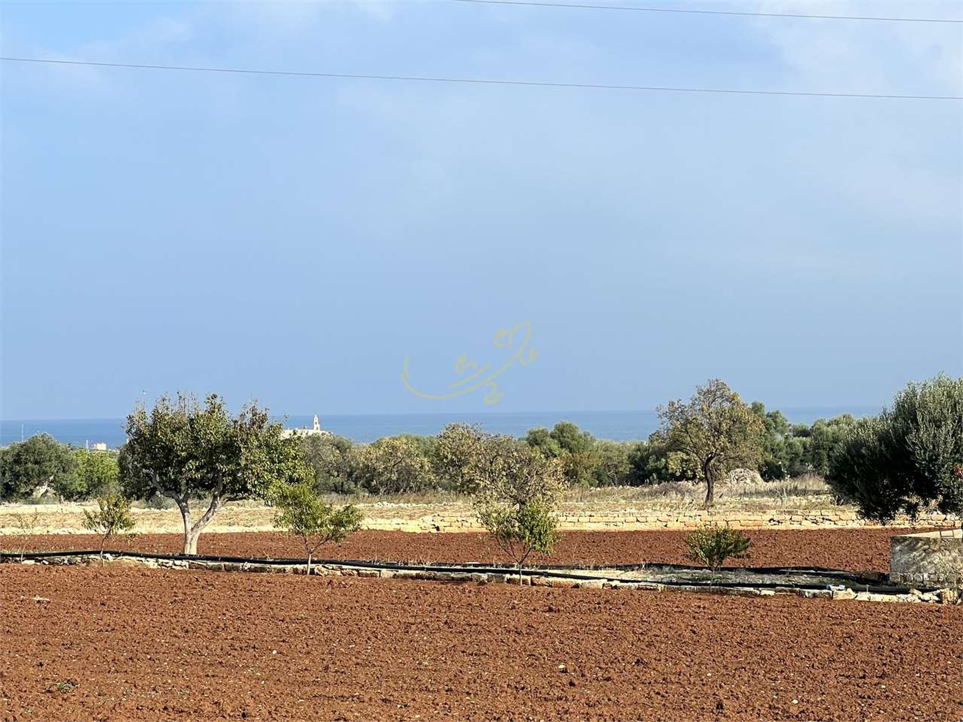 Γη σε Polignano a Mare, Πούλια 11178654