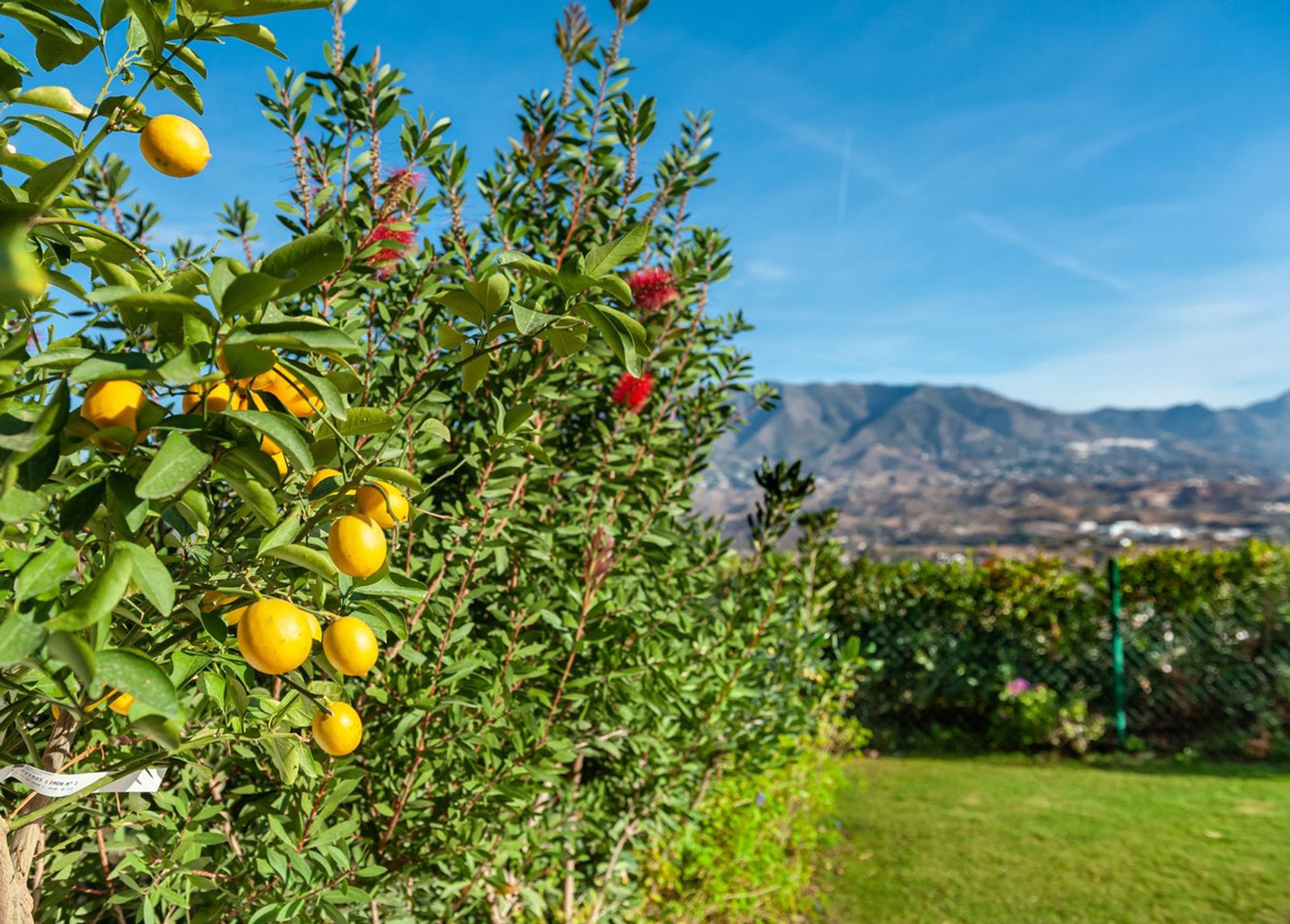 Ejerlejlighed i Mijas, Andalucía 11178709