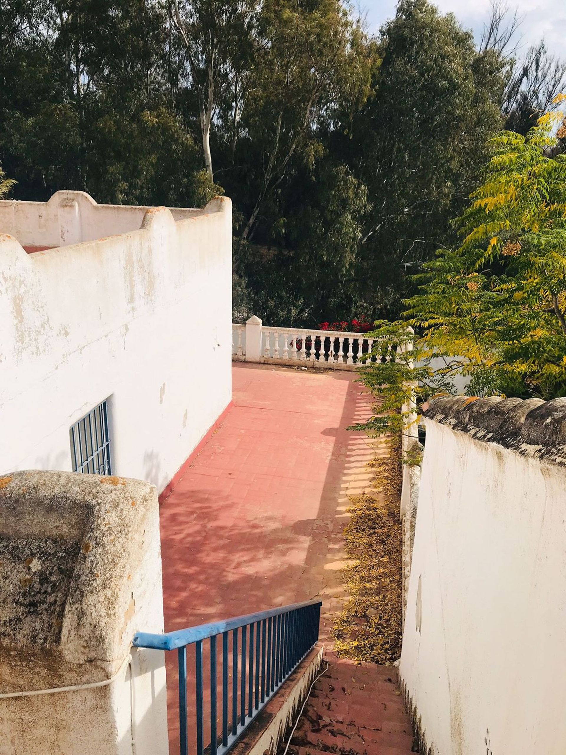 Rumah di San Pedro Alcántara, Andalucía 11178805