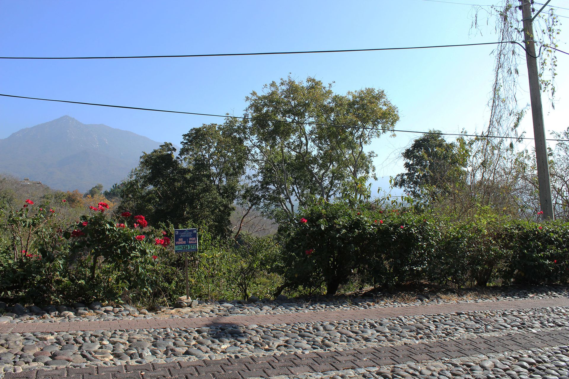 Borettslag i El Vivero, Zacatecas 11179939