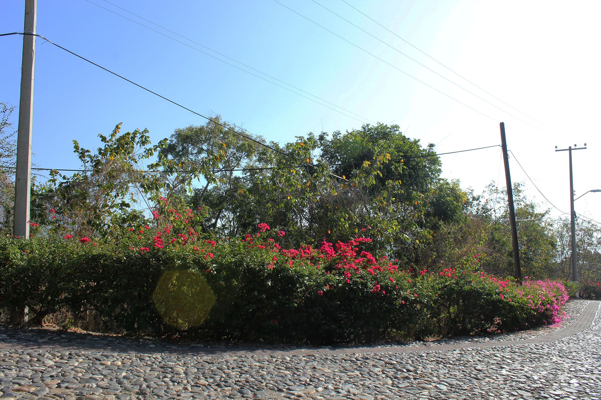 Borettslag i El Vivero, Zacatecas 11179939