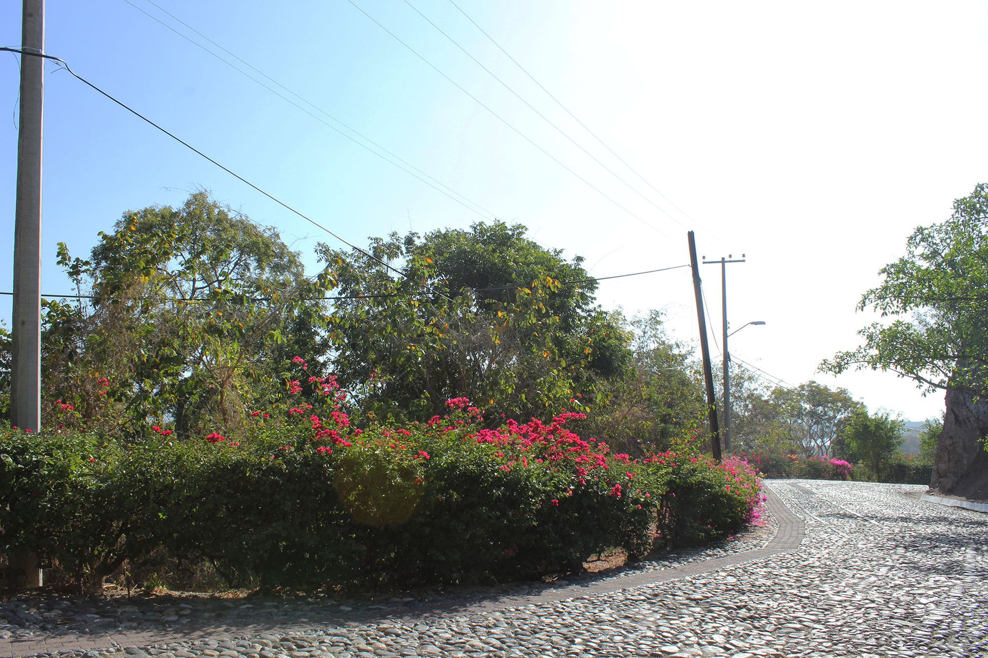 Borettslag i El Vivero, Zacatecas 11179939