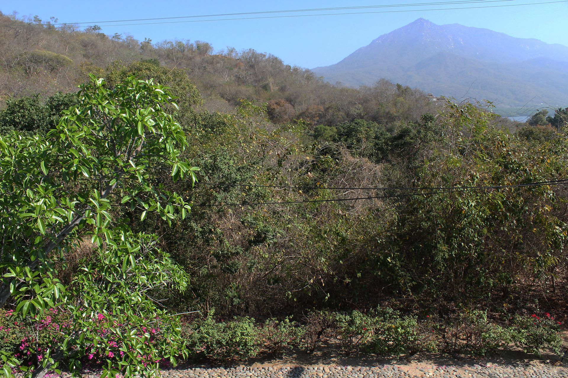 Borettslag i El Vivero, Zacatecas 11179939