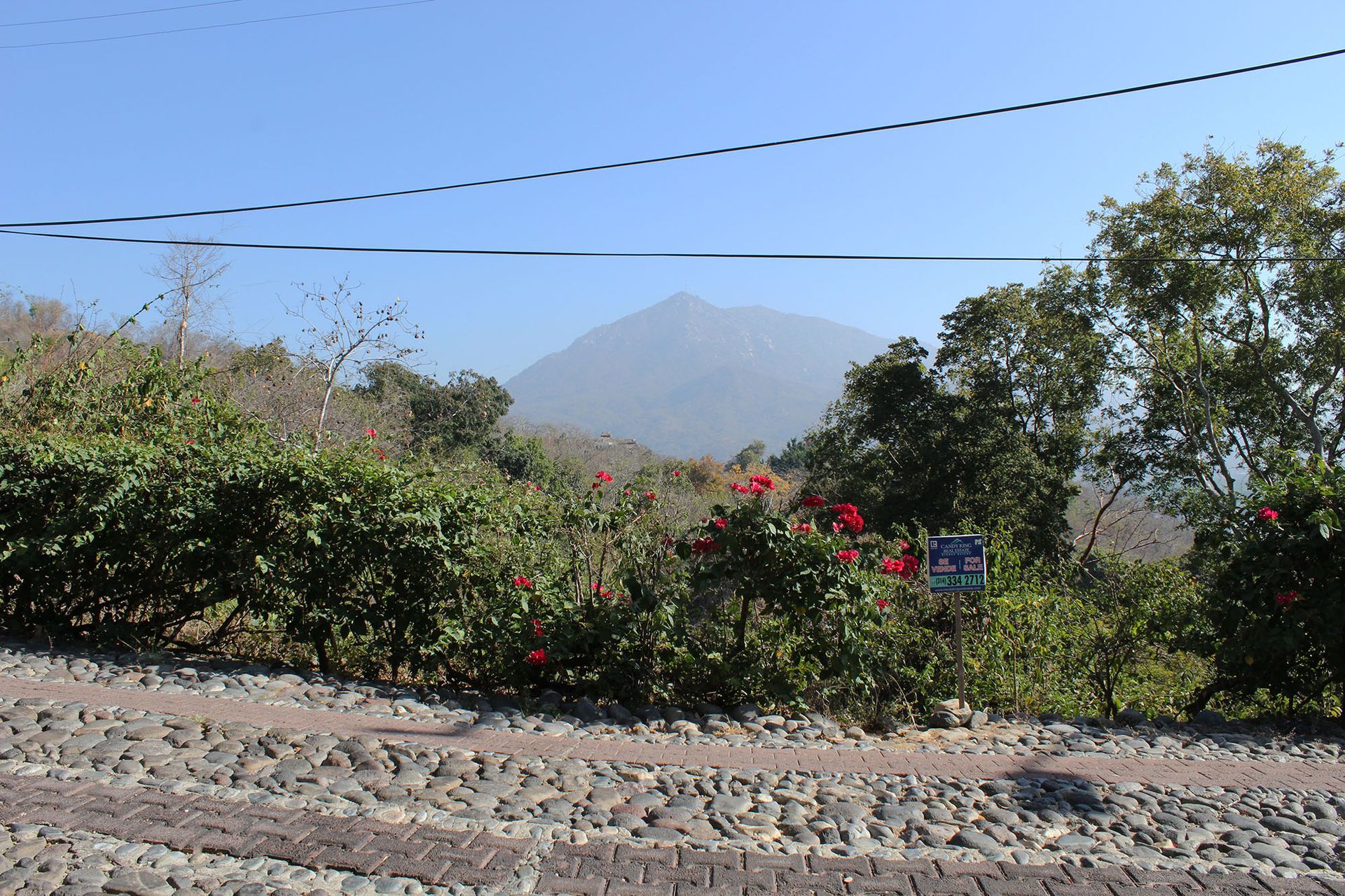 Borettslag i El Vivero, Zacatecas 11179939