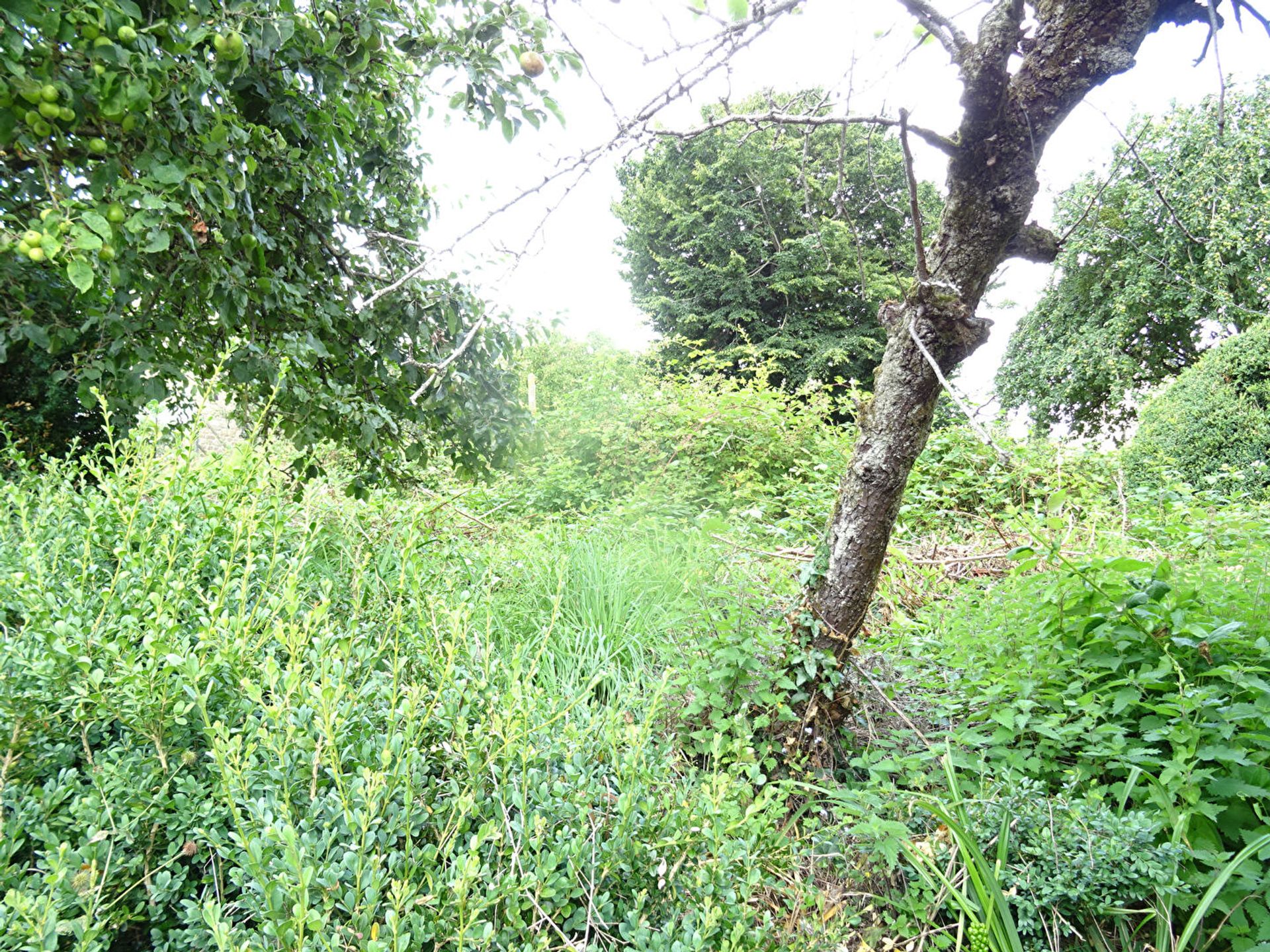 casa en Le Teilleul, Normandy 11180135