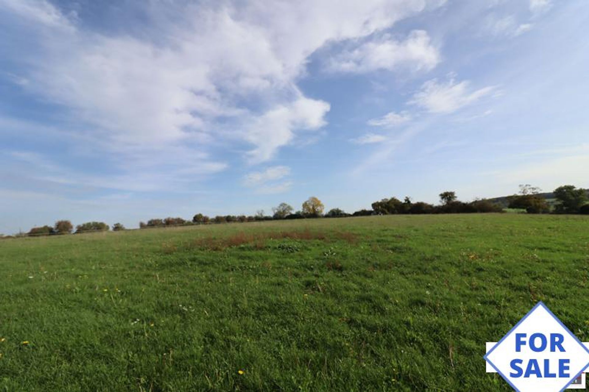 بيت في Mortagne-au-Perche, Normandie 11180259